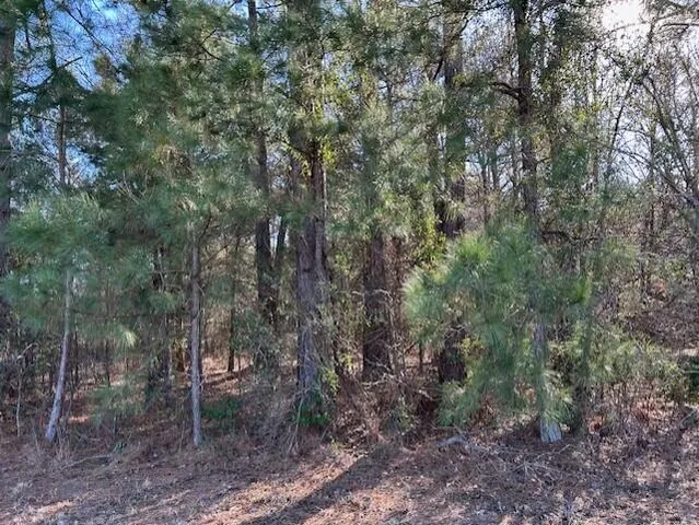 $36,000 | 3115 Highway 9, Cheraw, SC 29520