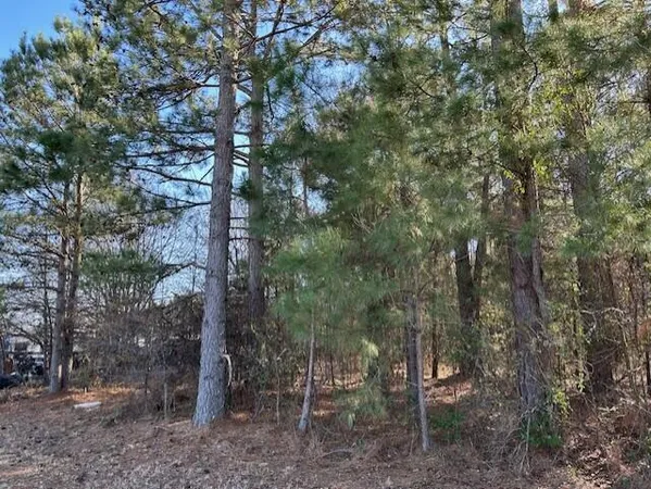 $36,000 | 3115 Highway 9, Cheraw, SC 29520