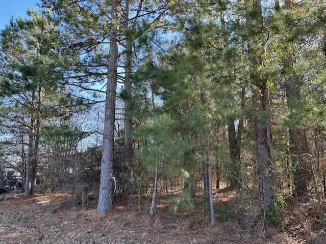 $36,000 | 3115 Highway 9, Cheraw, SC 29520