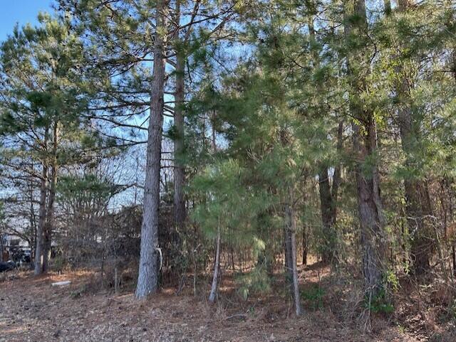 3115 Highway 9 Cheraw, SC 29520 - Photo 4 of 5 GetAttachmentThumbnail