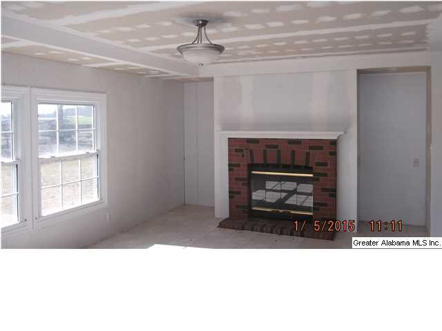 3214 Old Sulphur Springs Road Wellington, AL 36279 - Photo 6 of 14