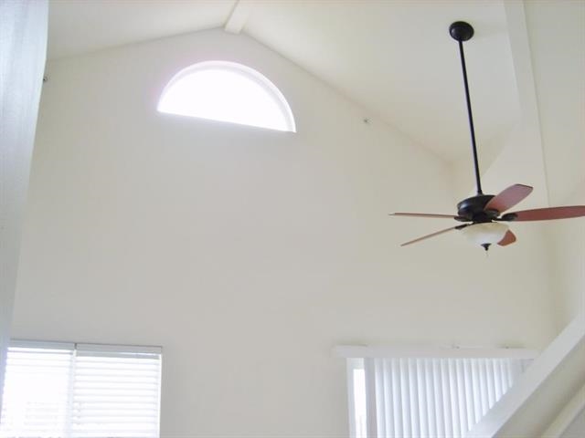 45 Stephen Lane, Unit 832 Lahaina, HI 96761 - Photo 8 of 11