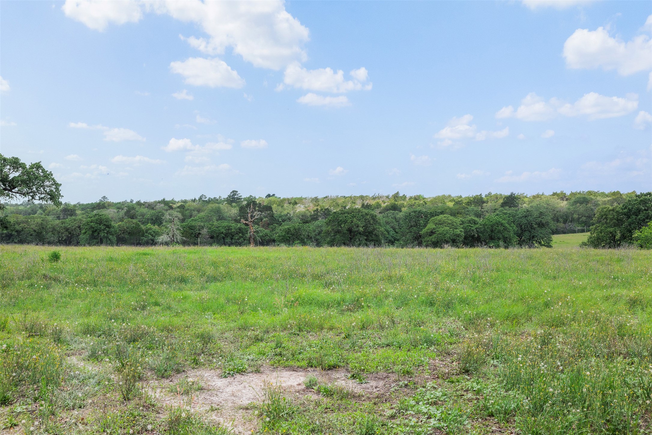 622 Red Rock Ranch Road Red Rock, TX 78662 - Photo 11 of 46 a view of an outdoor space and a yard