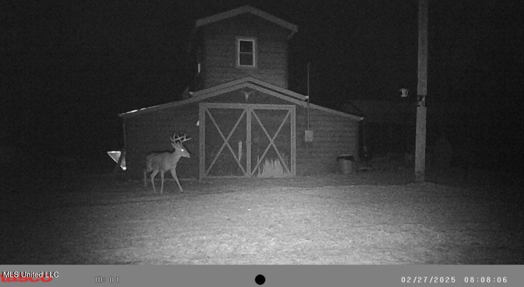 Powell Chapel Road Holly Springs, MS 38635 - Photo 11 of 74 27547A4A-DCBD-4CAD-976D-A852C367550A
