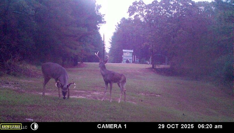 Powell Chapel Road Holly Springs, MS 38635 - Photo 2 of 74 FF26814E-3C1F-486C-A71D-0E5EF720F112