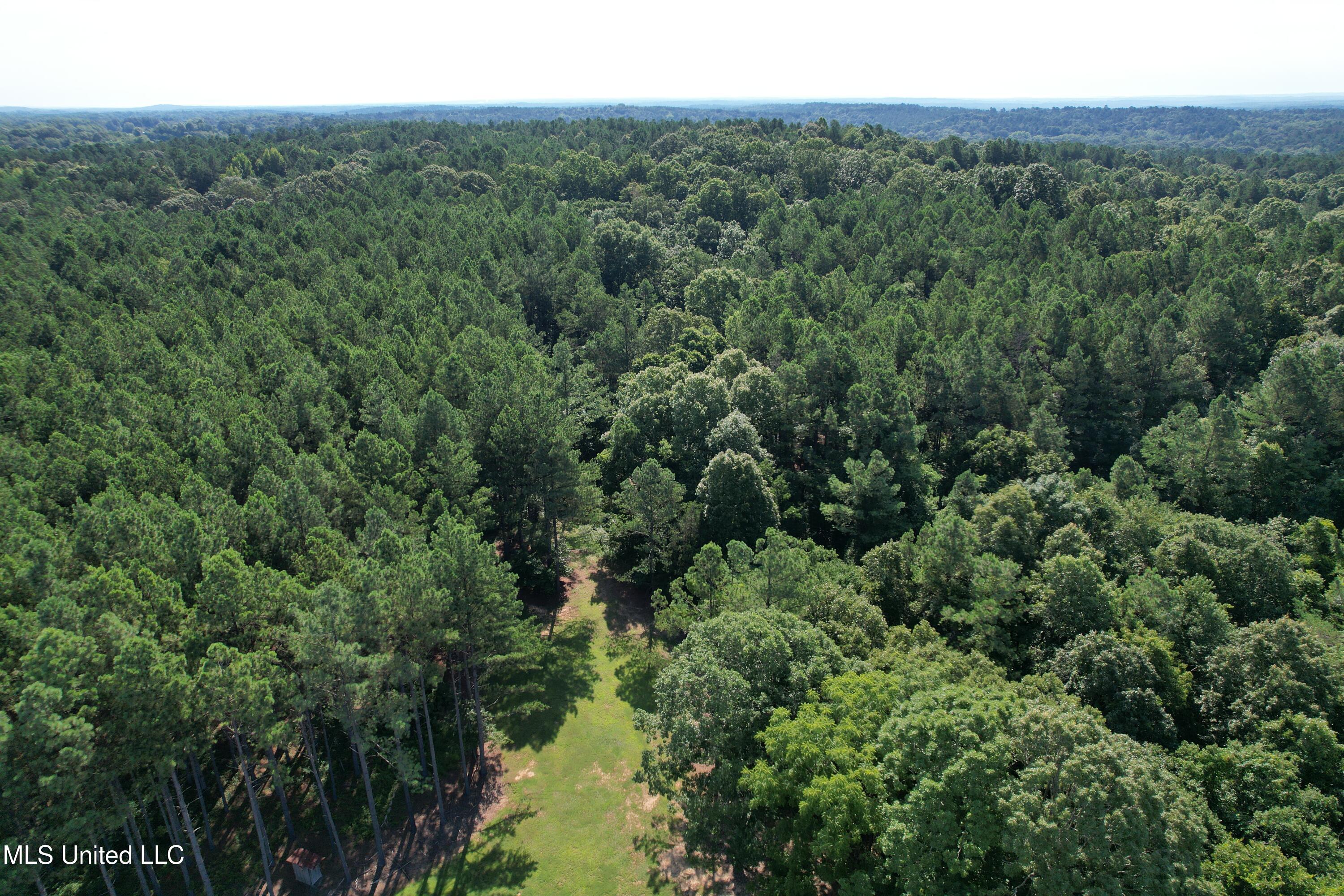 Powell Chapel Road Holly Springs, MS 38635 - Photo 23 of 74 80FE1E2C-FFB4-41FE-BB39-B4F778F40E2D