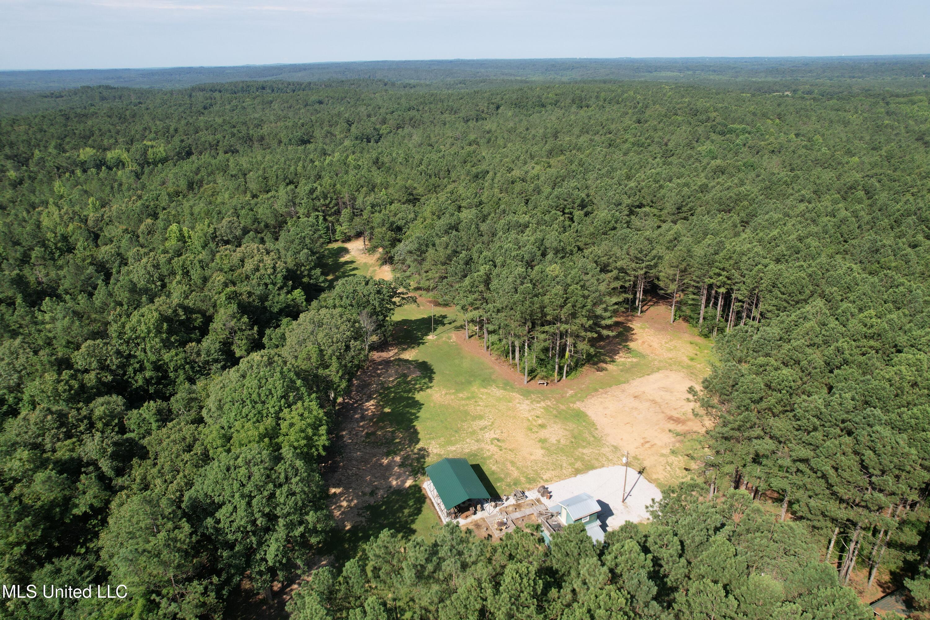 Powell Chapel Road Holly Springs, MS 38635 - Photo 24 of 74 449A9EE3-C5E1-4900-BF2F-9B05B3B22DDD