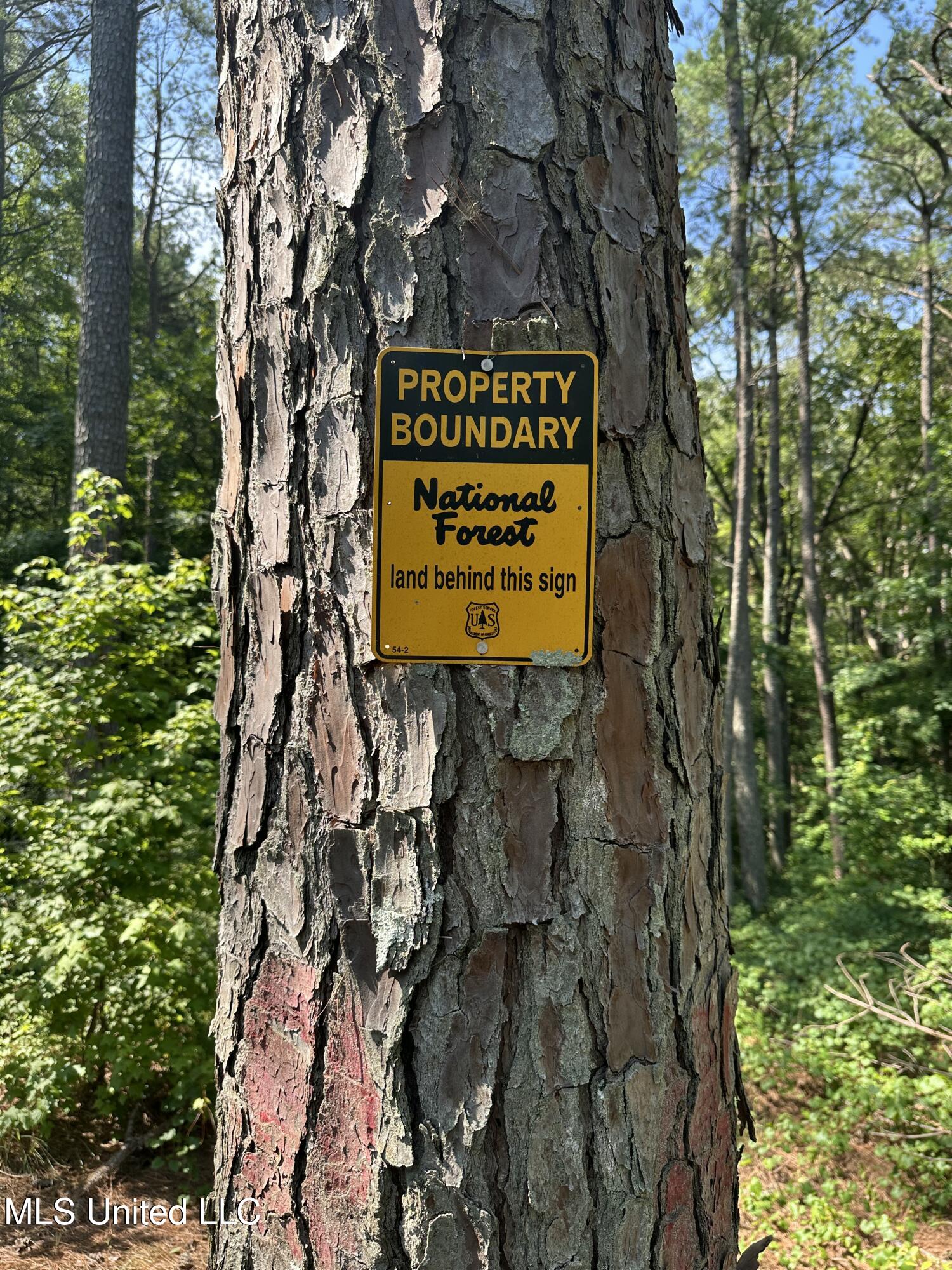 Powell Chapel Road Holly Springs, MS 38635 - Photo 25 of 74 AA964A8D-0CD7-42EB-90E5-8E143182FE09