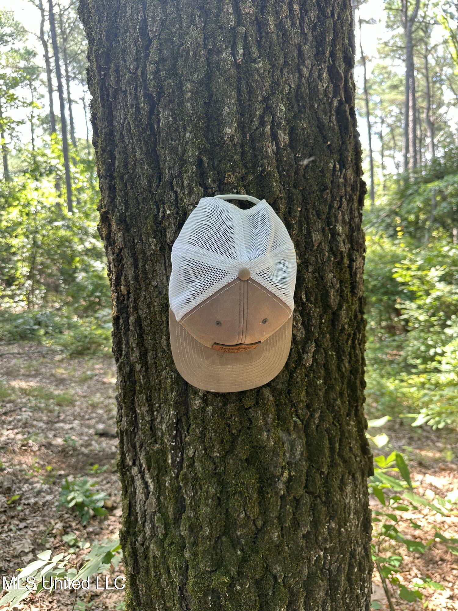 Powell Chapel Road Holly Springs, MS 38635 - Photo 26 of 74 A0749E3A-8869-4CB9-BA6E-3747F7A6EAD6