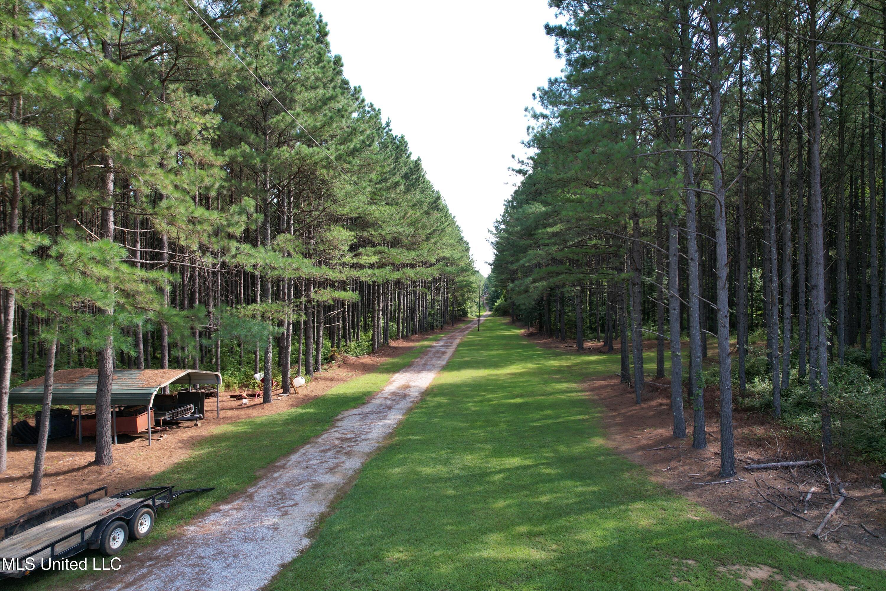 Powell Chapel Road Holly Springs, MS 38635 - Photo 28 of 74 E826B234-148D-4549-8A5E-DD48A424CEAD