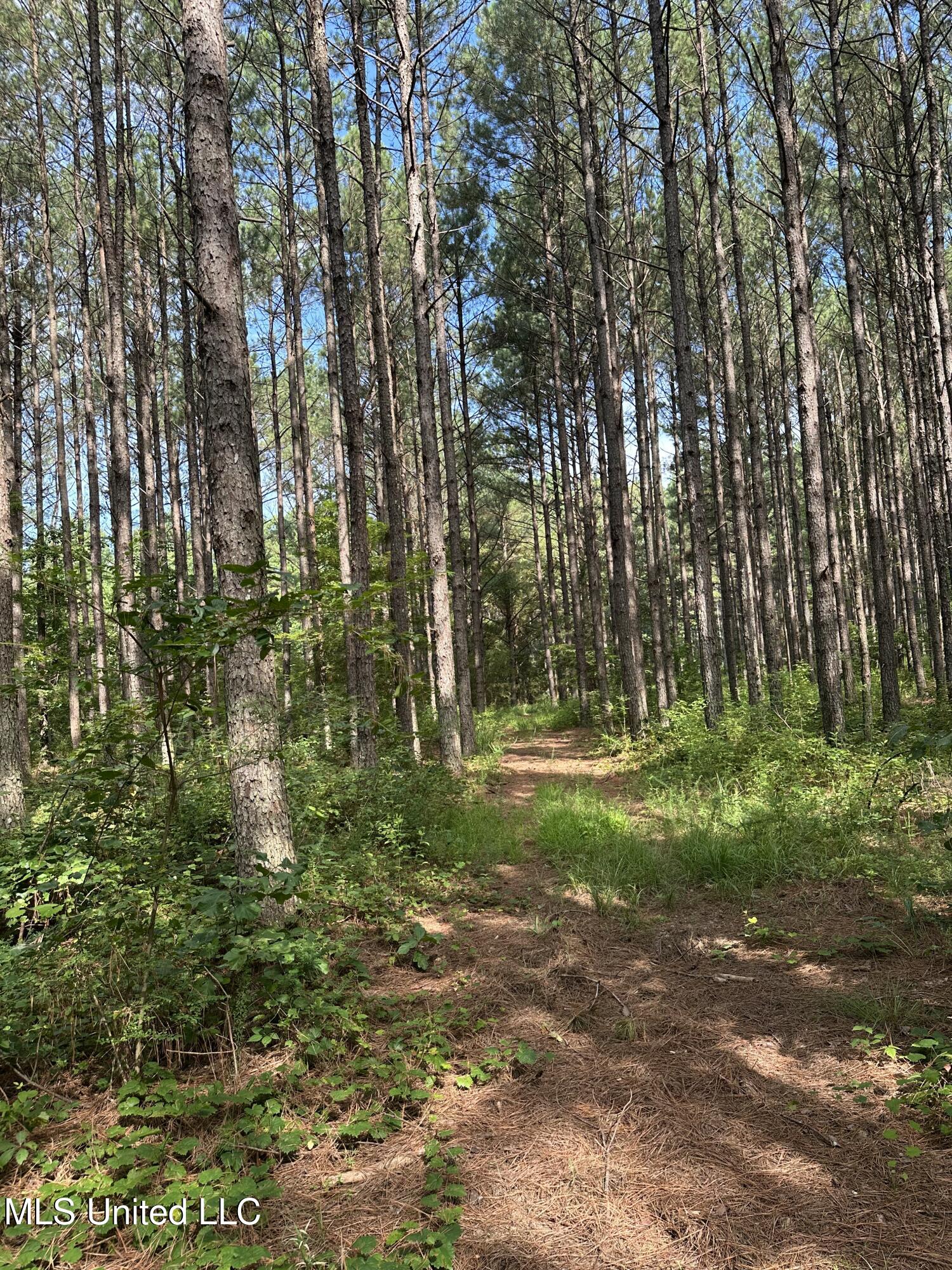 Powell Chapel Road Holly Springs, MS 38635 - Photo 32 of 74 2F517303-BF68-428D-A323-868114159D9C