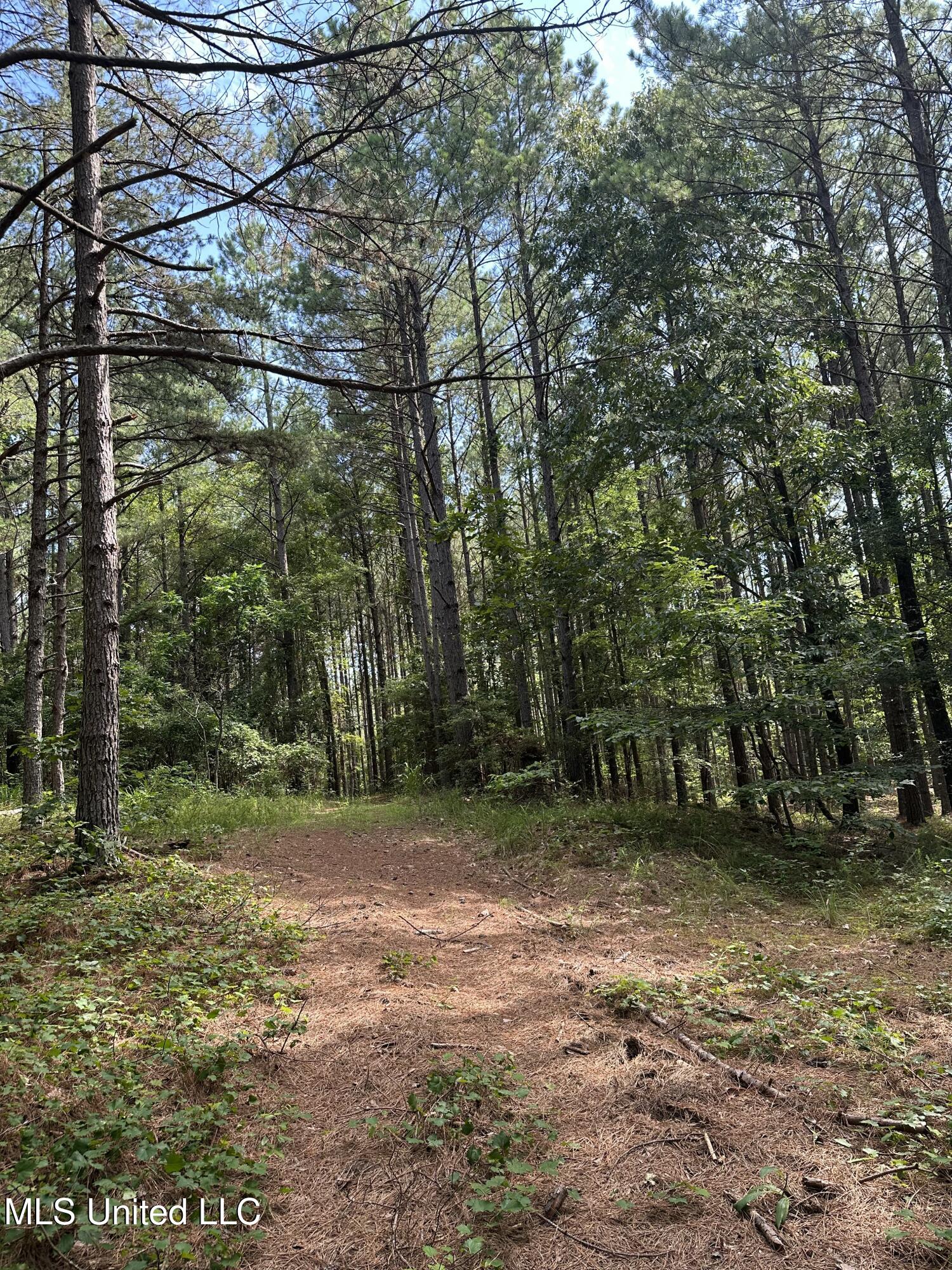 Powell Chapel Road Holly Springs, MS 38635 - Photo 33 of 74 AAB390BA-FCD4-45E6-9BC1-29E6925D1058