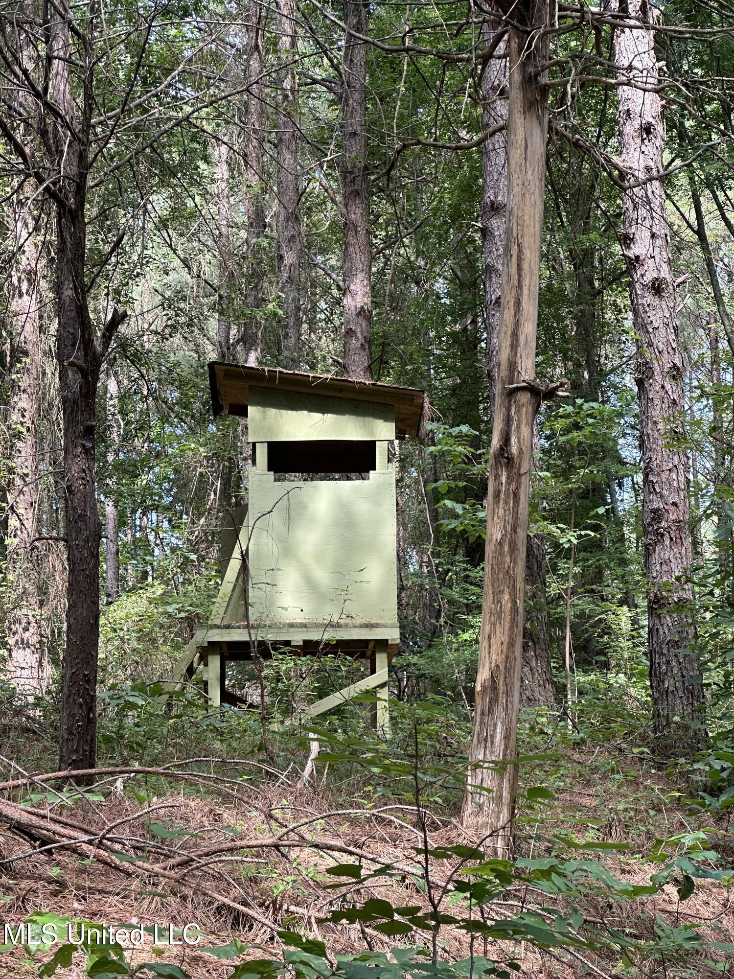 Powell Chapel Road Holly Springs, MS 38635 - Photo 34 of 74 467896A7-0FBE-41EA-B2F7-17873FAB1B1B