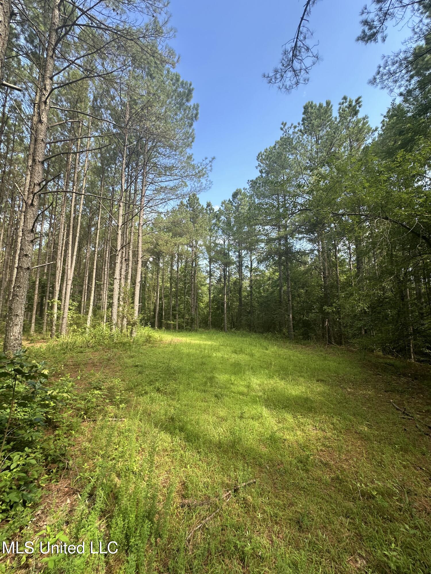 Powell Chapel Road Holly Springs, MS 38635 - Photo 35 of 74 E7405499-89A0-4127-A54F-913C066035B1