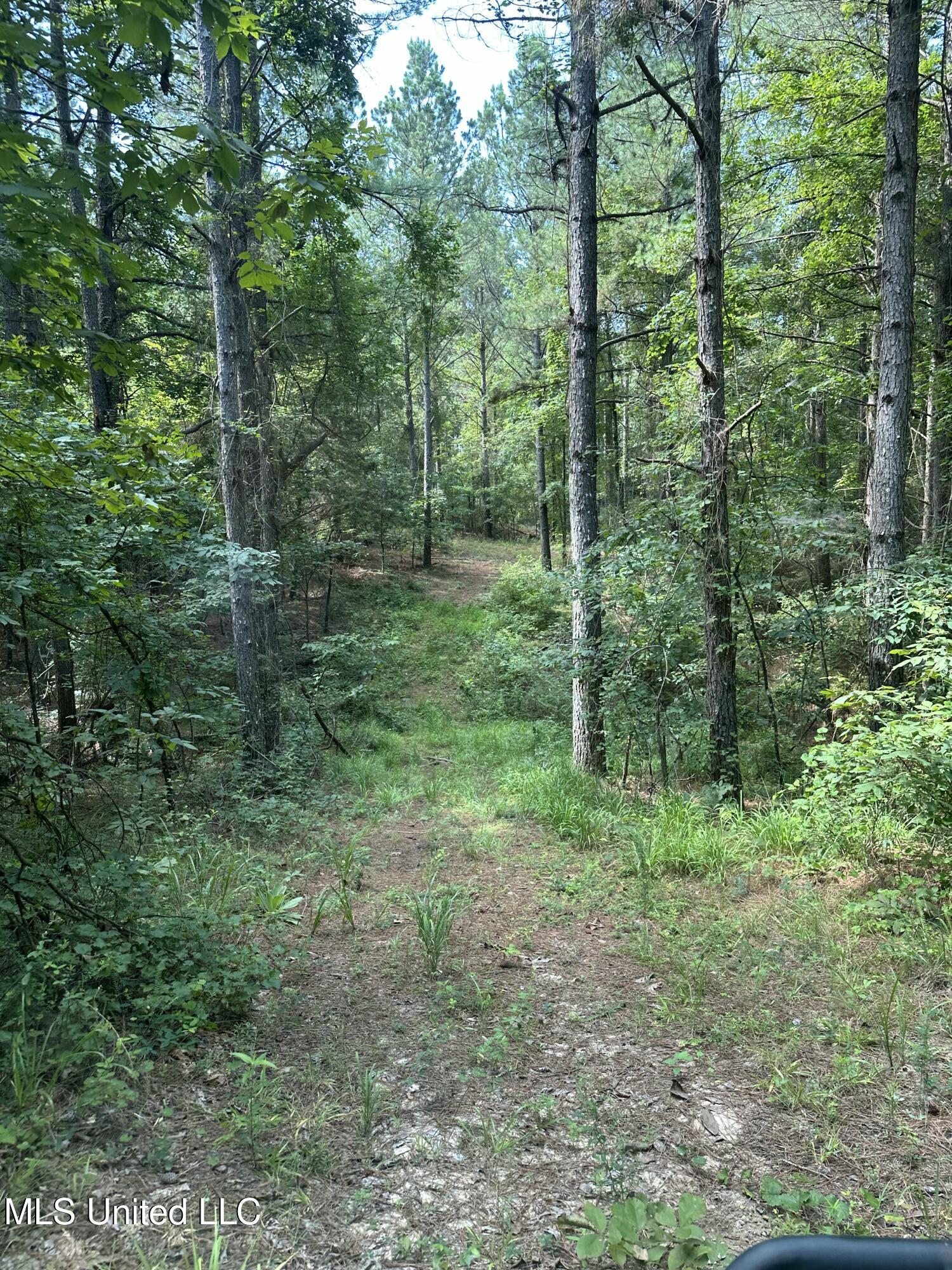 Powell Chapel Road Holly Springs, MS 38635 - Photo 38 of 74 12546A10-E9B3-4A29-8DEF-E9B38DFD2393