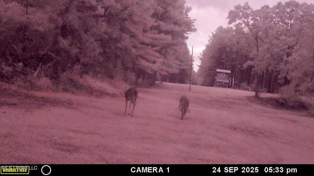 Powell Chapel Road Holly Springs, MS 38635 - Photo 39 of 74 0E6F2CD6-9DAD-4B03-B101-E7BD1FFBA1F8