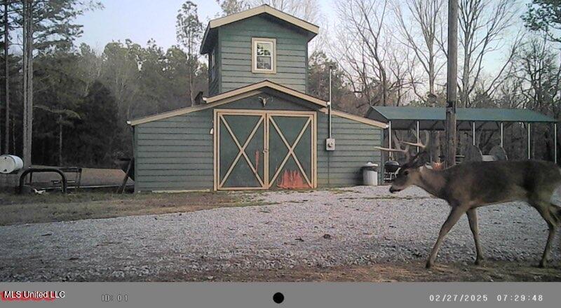 Powell Chapel Road Holly Springs, MS 38635 - Photo 4 of 74 Whitetail deer and turkey abundant