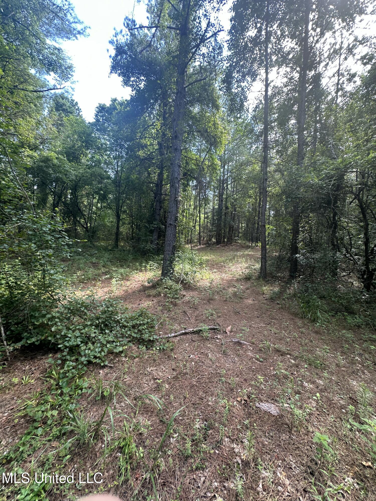 Powell Chapel Road Holly Springs, MS 38635 - Photo 42 of 74 CCB2501E-98D2-4685-BF93-75A14611EB10