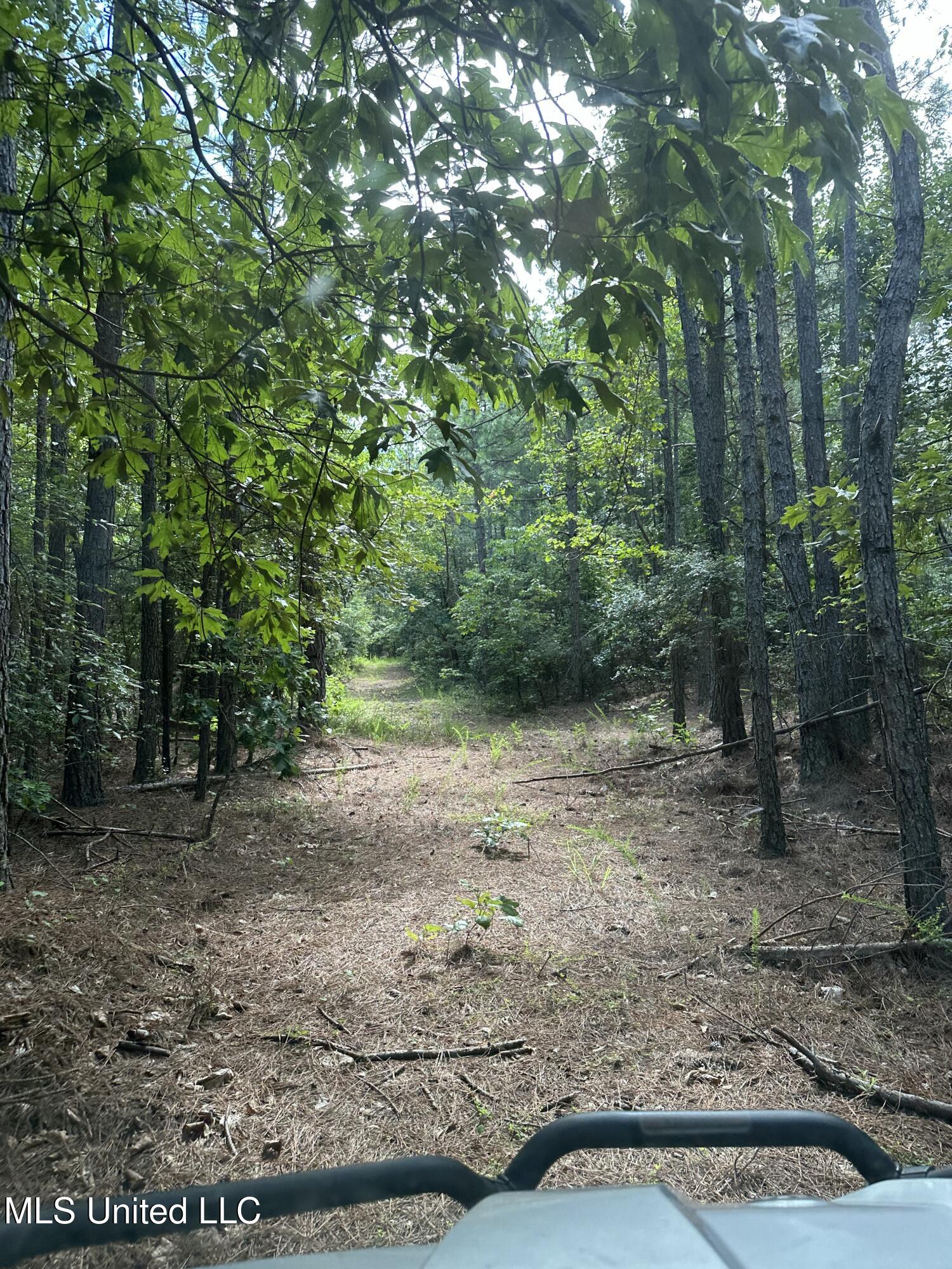Powell Chapel Road Holly Springs, MS 38635 - Photo 44 of 74 A854E3AD-35B3-43B9-A078-B4AEB1AEA55C