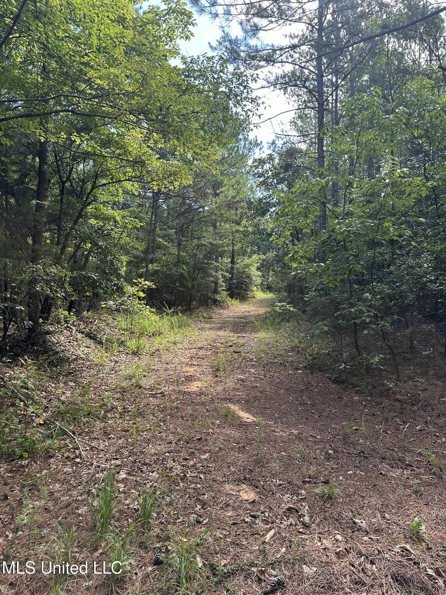 Powell Chapel Road Holly Springs, MS 38635 - Photo 46 of 74 1AD2D87A-17BB-4EF1-A398-2DF3EC66BAA9