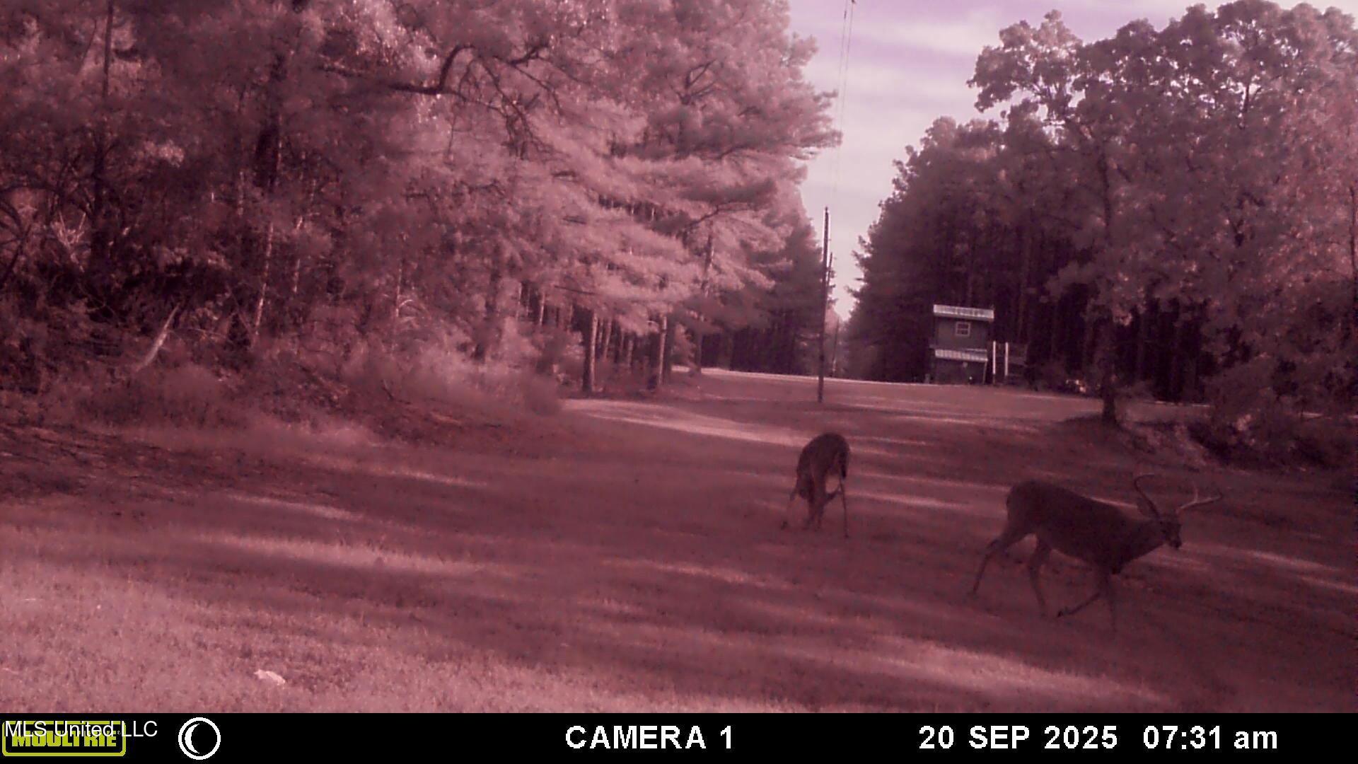 Powell Chapel Road Holly Springs, MS 38635 - Photo 47 of 74 A5EA49CC-804D-4569-BAEF-236AA1F2AB43