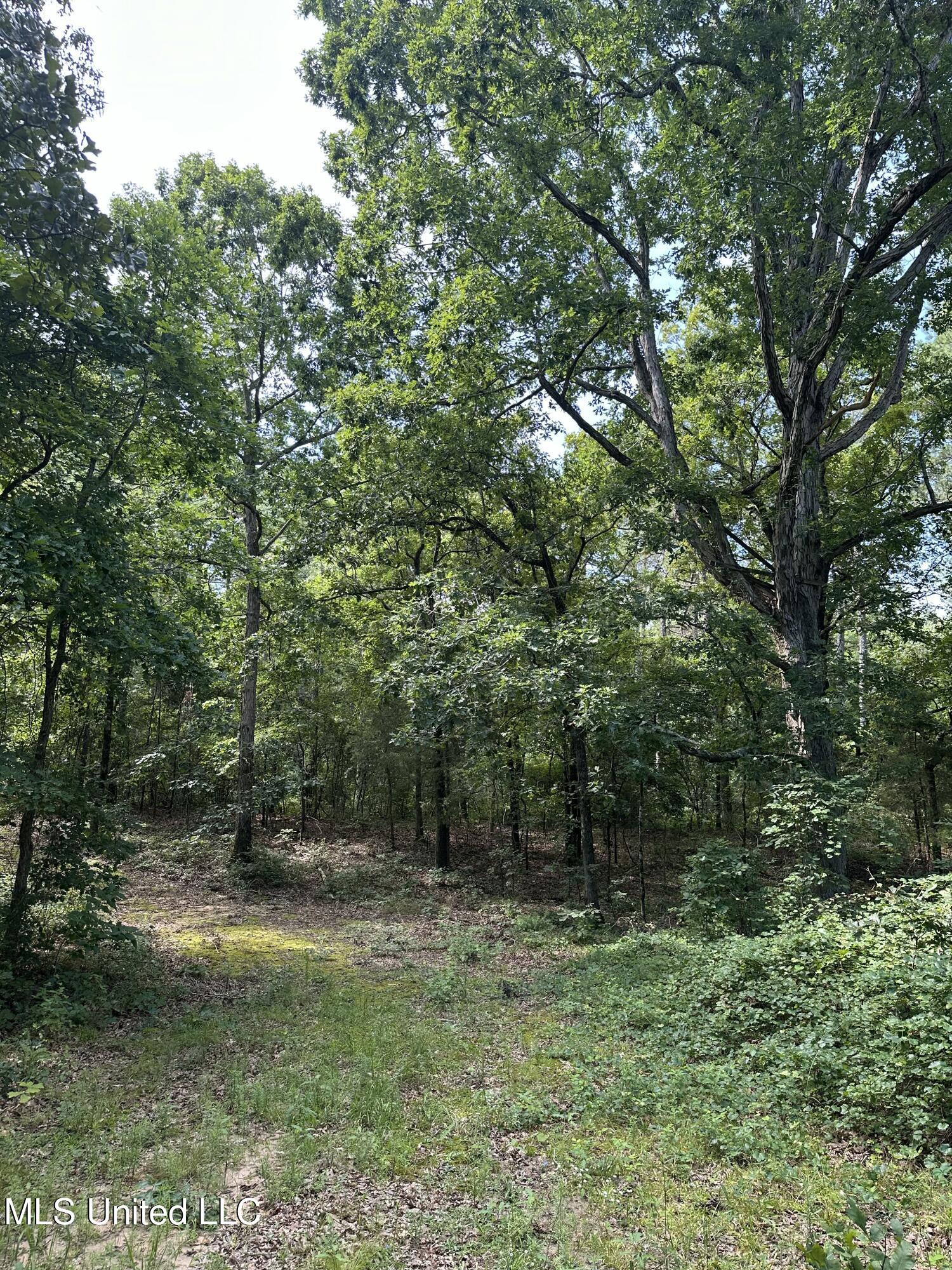 Powell Chapel Road Holly Springs, MS 38635 - Photo 48 of 74 57815441-0292-47D5-A669-3ED17C78A523