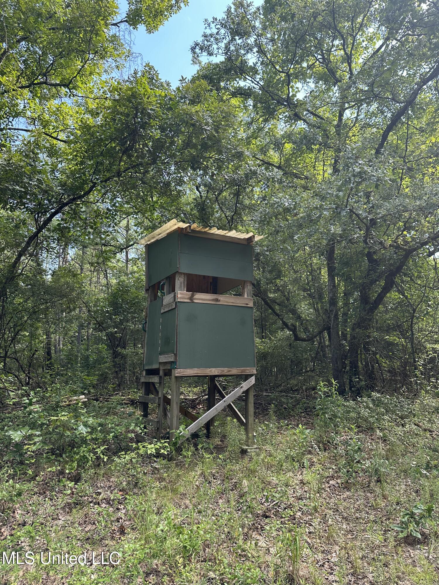 Powell Chapel Road Holly Springs, MS 38635 - Photo 49 of 74 018EB2FE-5A0E-48C4-BB9F-F613B47AC2D9