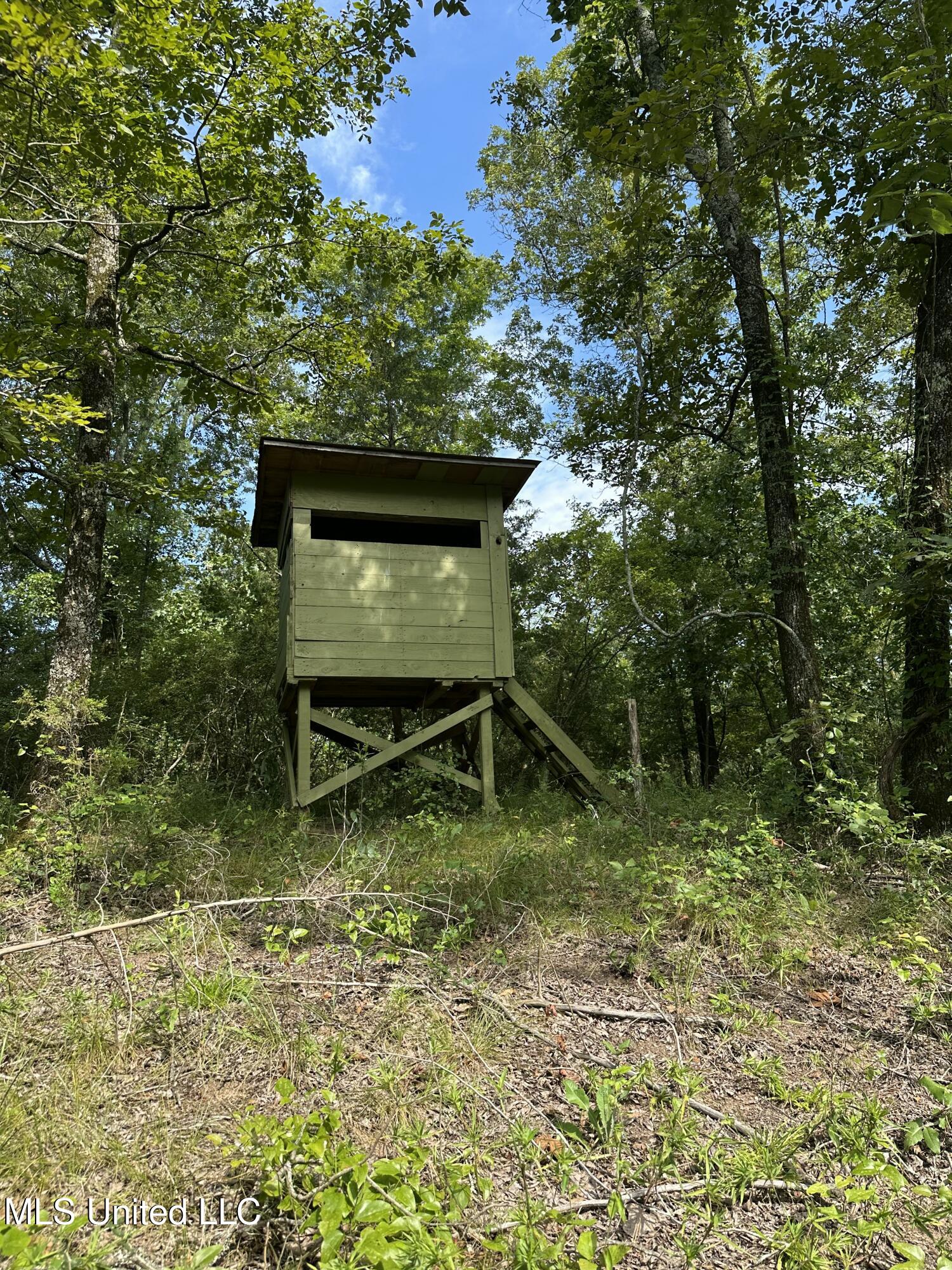 Powell Chapel Road Holly Springs, MS 38635 - Photo 50 of 74 11835EB9-55C4-4FAB-96D7-11657695DD06