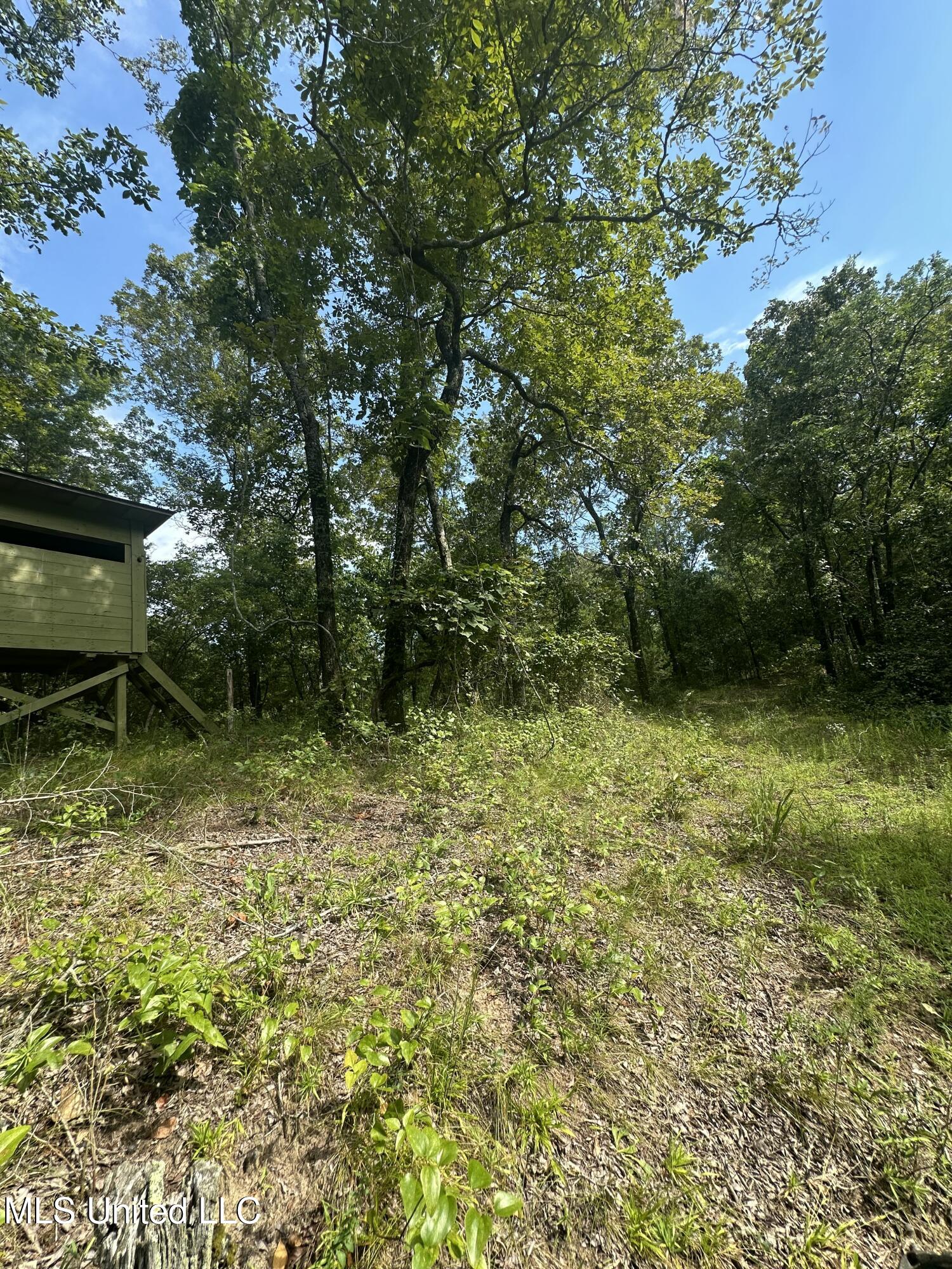 Powell Chapel Road Holly Springs, MS 38635 - Photo 51 of 74 022AC86E-3EED-49C0-A21B-ED3EF2ACCBD7