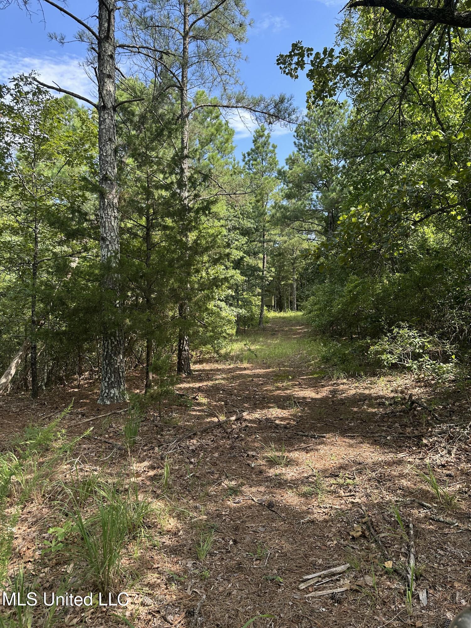 Powell Chapel Road Holly Springs, MS 38635 - Photo 52 of 74 61B60D3D-3DE6-4E19-A9B1-F05867DCA76D