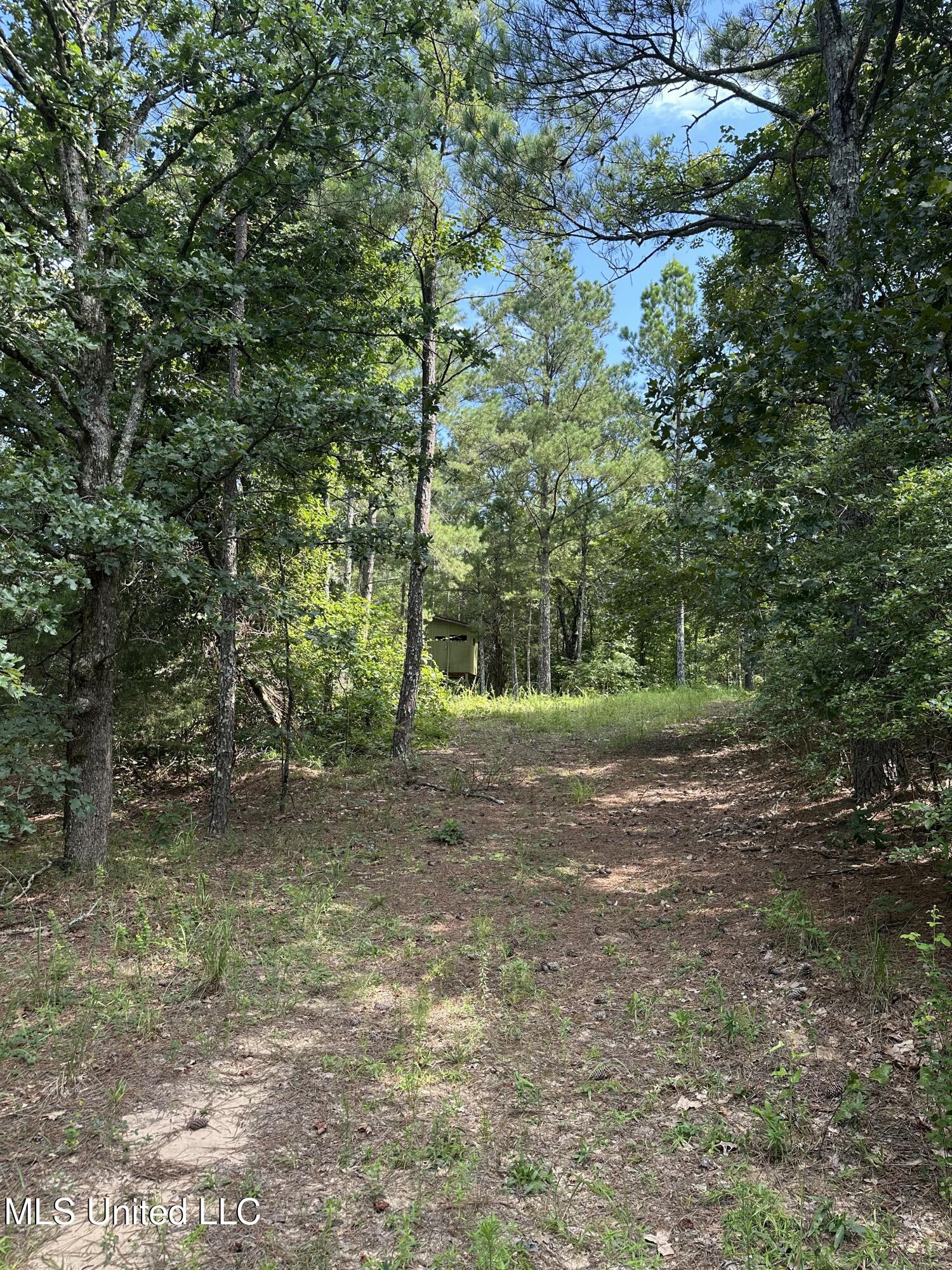 Powell Chapel Road Holly Springs, MS 38635 - Photo 53 of 74 9E30AEFA-3EEA-4F8F-8CCB-5CE93DC42DC5