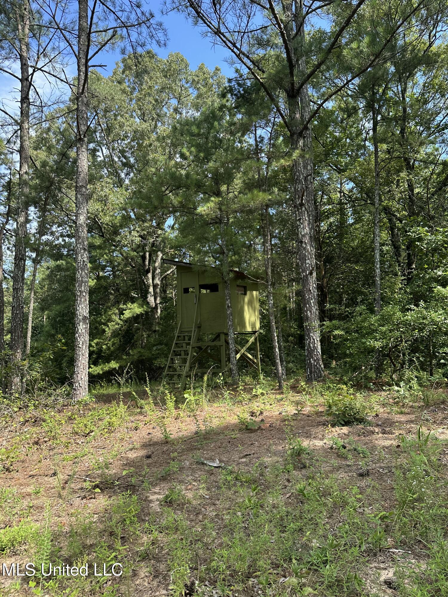 Powell Chapel Road Holly Springs, MS 38635 - Photo 54 of 74 963F8748-8EF9-4A29-8EFC-64B4E9E25A7A