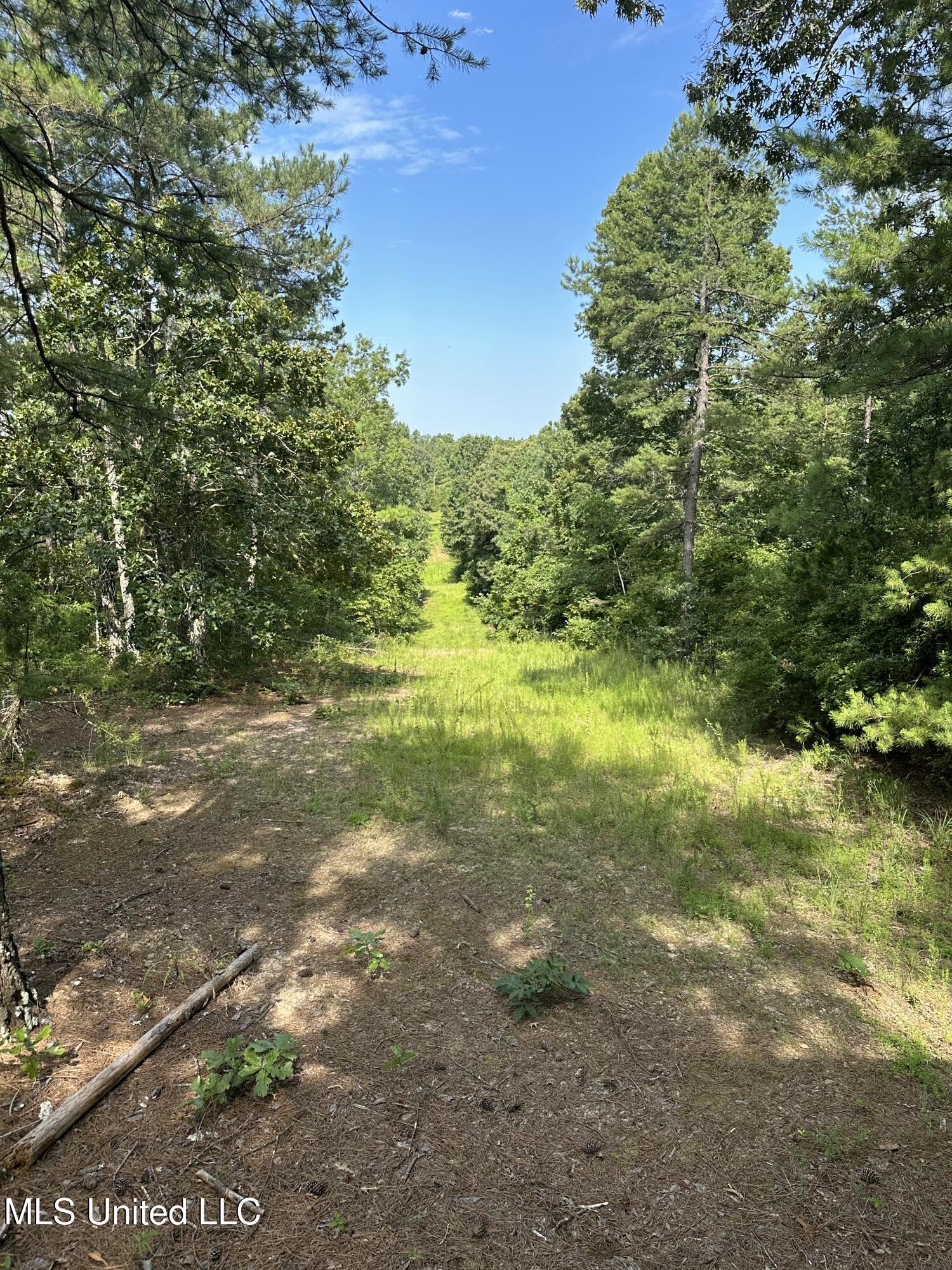 Powell Chapel Road Holly Springs, MS 38635 - Photo 55 of 74 53D843E7-5EE7-4180-80F9-99A6269A3B14
