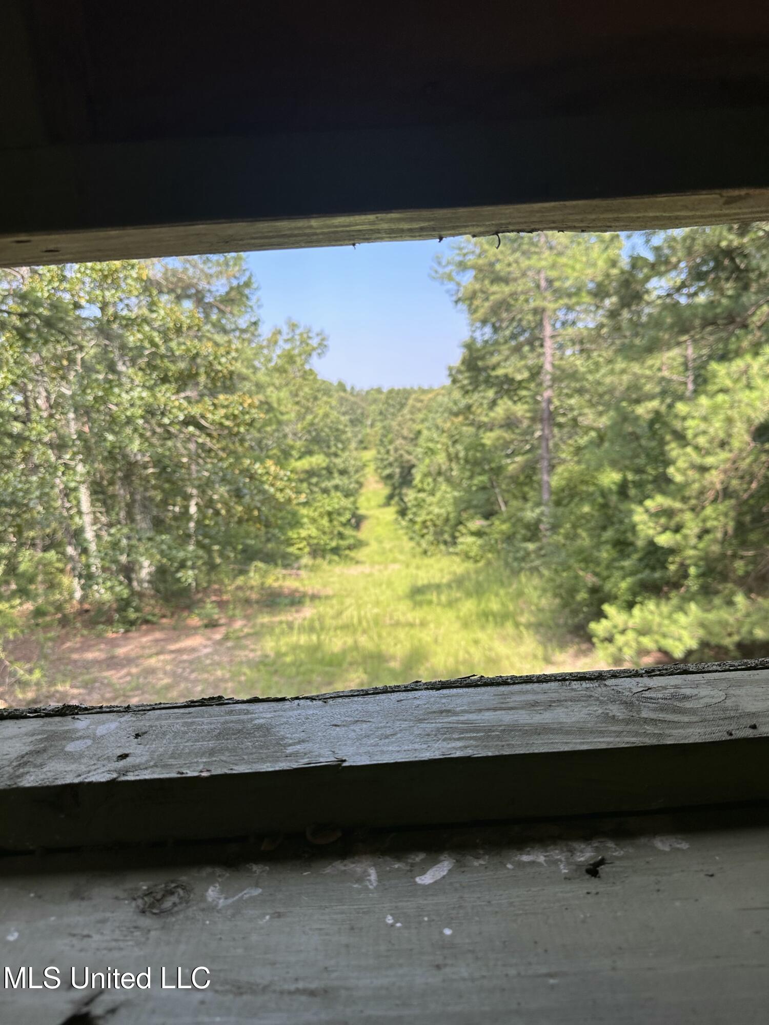 Powell Chapel Road Holly Springs, MS 38635 - Photo 56 of 74 11B0A390-1203-443D-9354-AC4D62266C6A