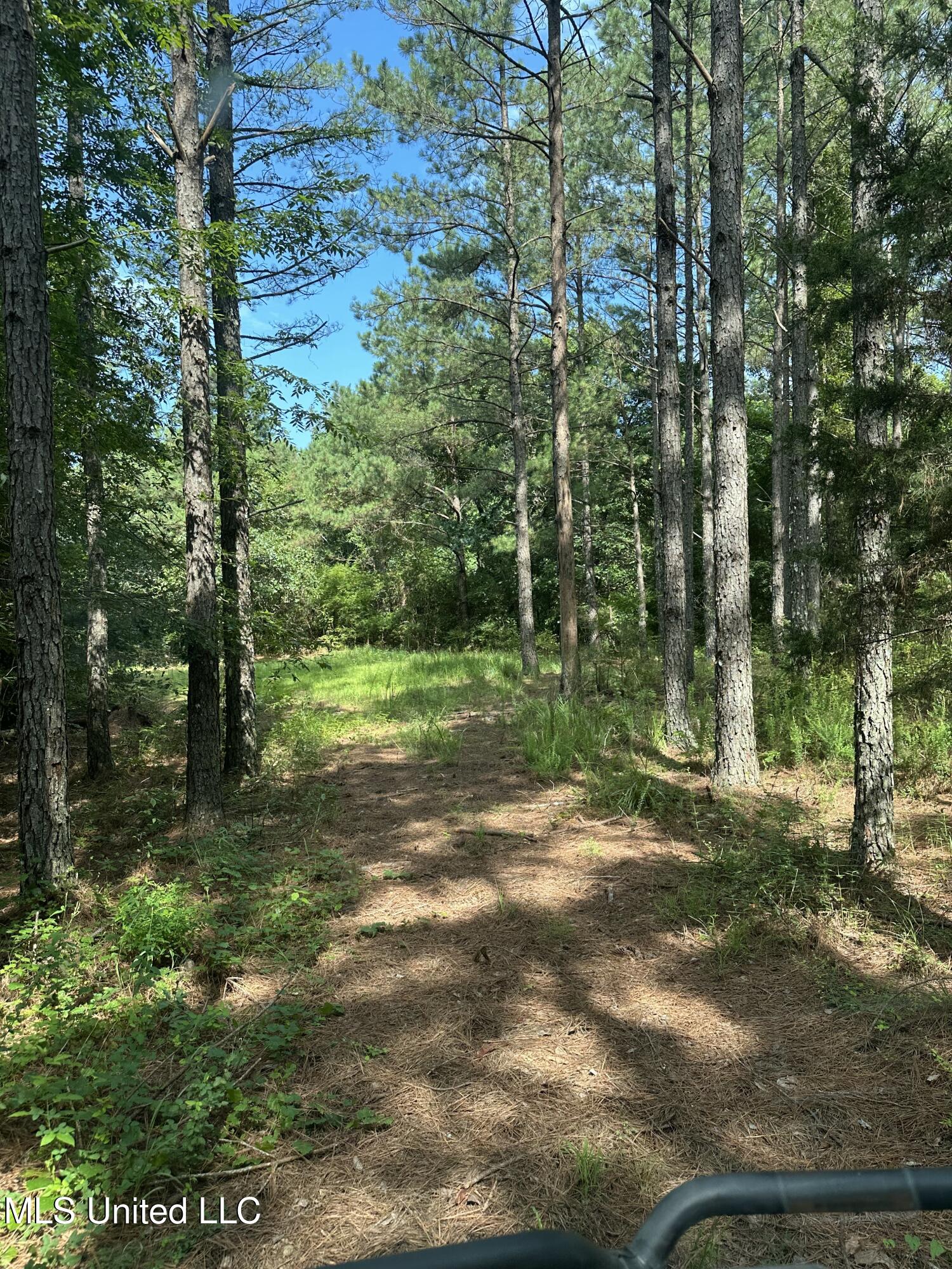 Powell Chapel Road Holly Springs, MS 38635 - Photo 58 of 74 1A588AEB-EBAF-452F-A183-6FFC9129D055
