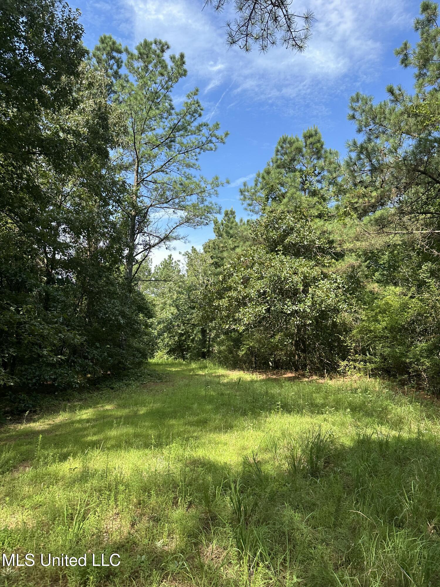 Powell Chapel Road Holly Springs, MS 38635 - Photo 59 of 74 869C6B5C-C0FF-469F-8CFA-613228E8E09D