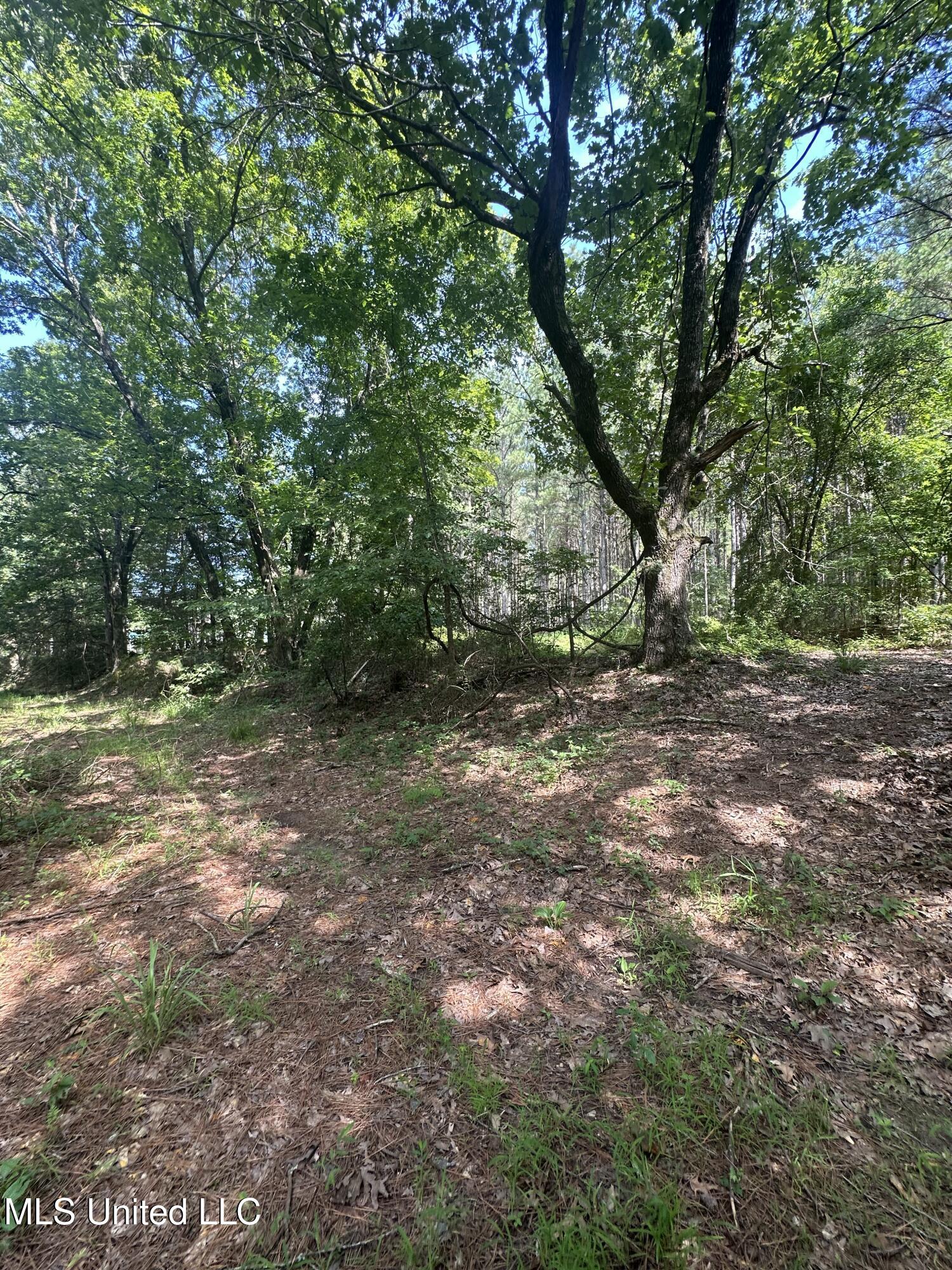 Powell Chapel Road Holly Springs, MS 38635 - Photo 60 of 74 1339FD54-A7C0-4A3D-9816-17E90F78300F