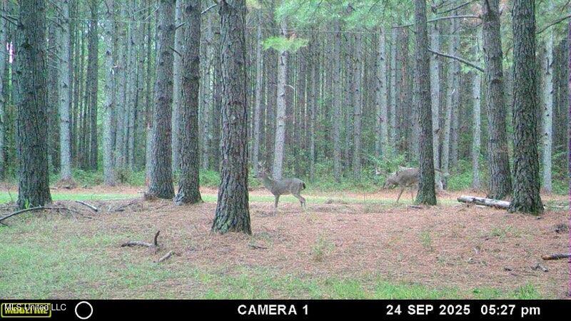 Powell Chapel Road Holly Springs, MS 38635 - Photo 6 of 74 C566FA84-85A2-428E-BE07-D5889CBFE1F7