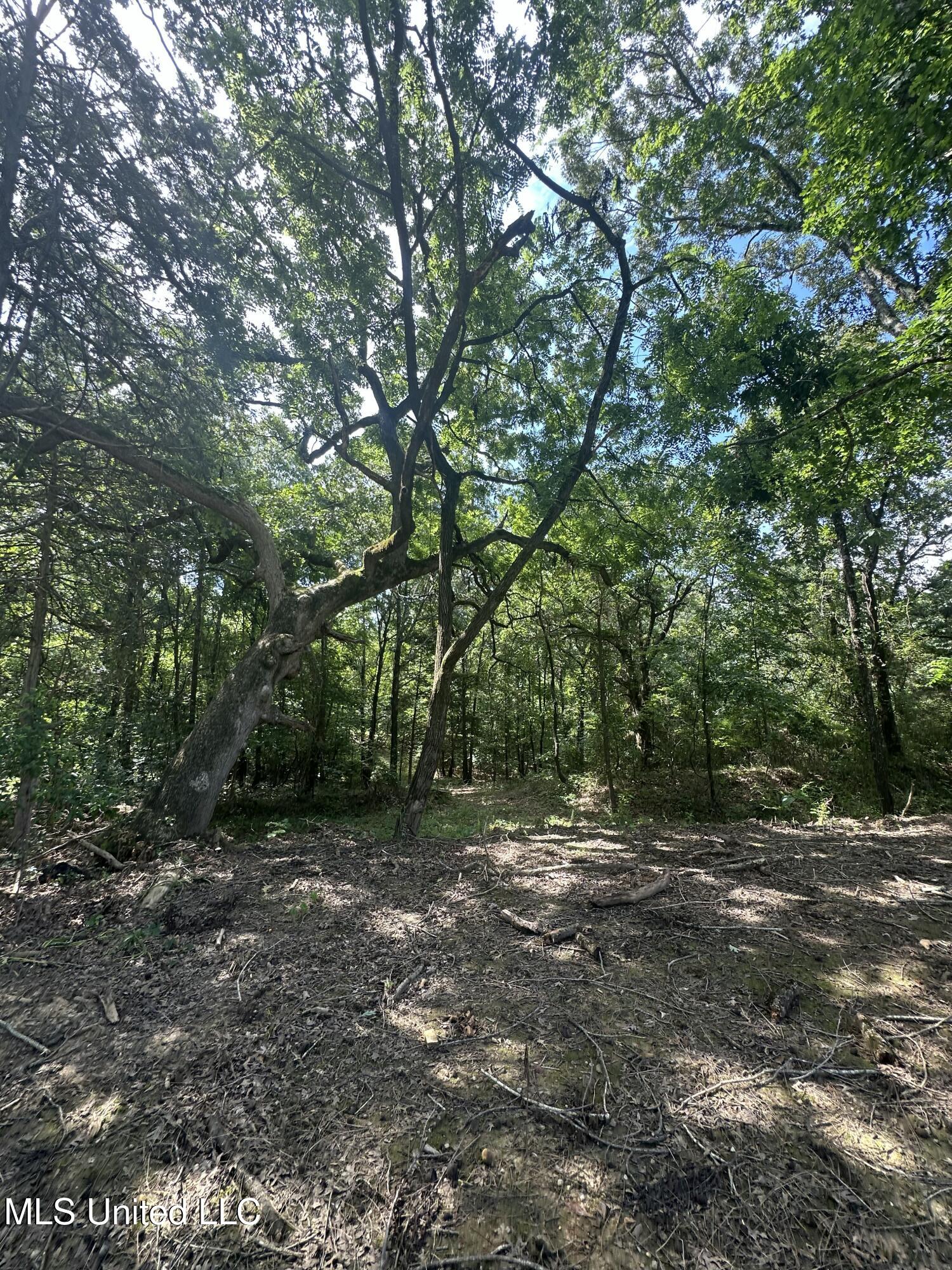 Powell Chapel Road Holly Springs, MS 38635 - Photo 61 of 74 170B37B0-42D6-4B80-B0F0-BF5227B8AB0C