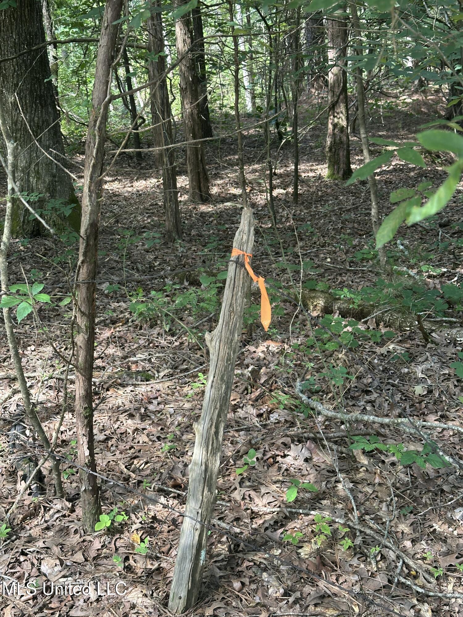 Powell Chapel Road Holly Springs, MS 38635 - Photo 62 of 74 71EC77E4-0752-4A38-97CD-D6A63B7E3D32
