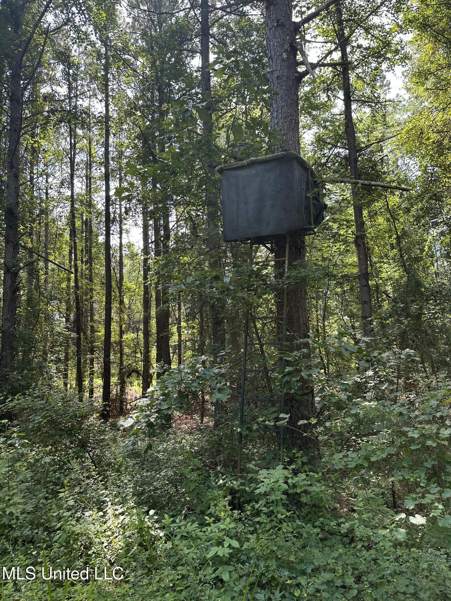 Powell Chapel Road Holly Springs, MS 38635 - Photo 63 of 74 0A6F0B7C-1198-4DA3-9D1F-50C759DF2078