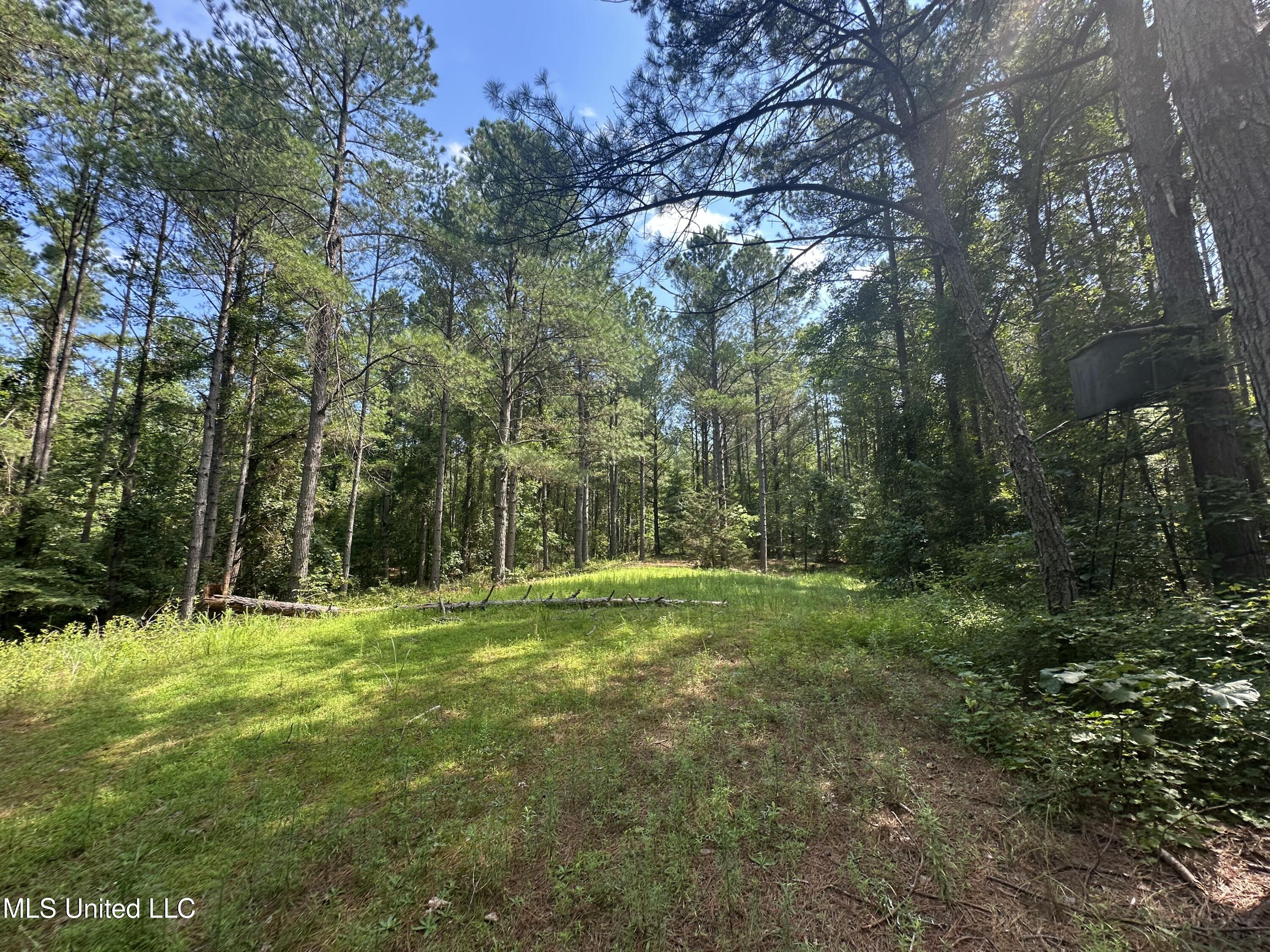 Powell Chapel Road Holly Springs, MS 38635 - Photo 64 of 74 C3A8EB4D-342B-42E3-BA0E-58086FD3E64D
