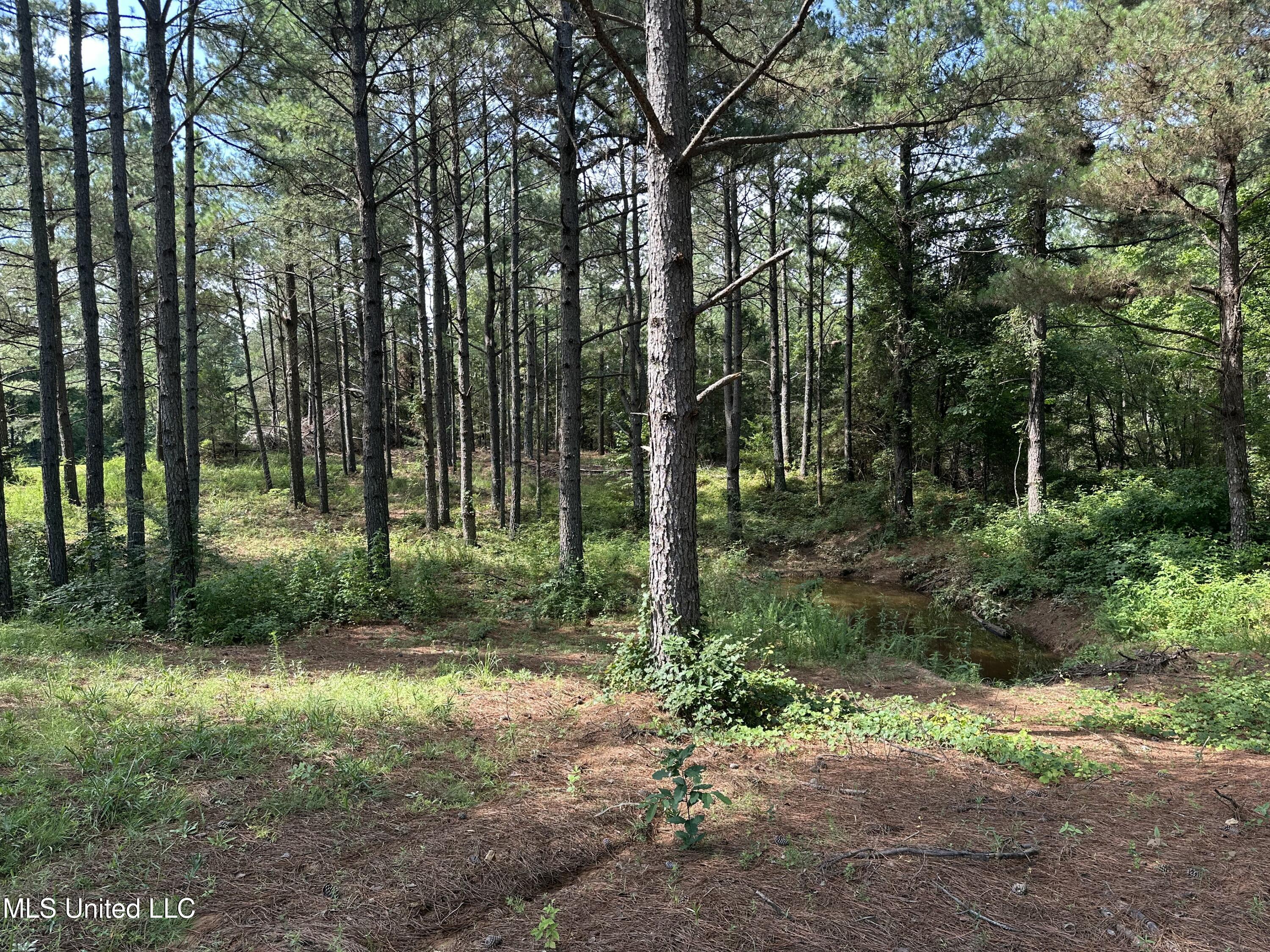 Powell Chapel Road Holly Springs, MS 38635 - Photo 65 of 74 2F5CCB0F-94A4-4A58-9612-BCB3A13EA345