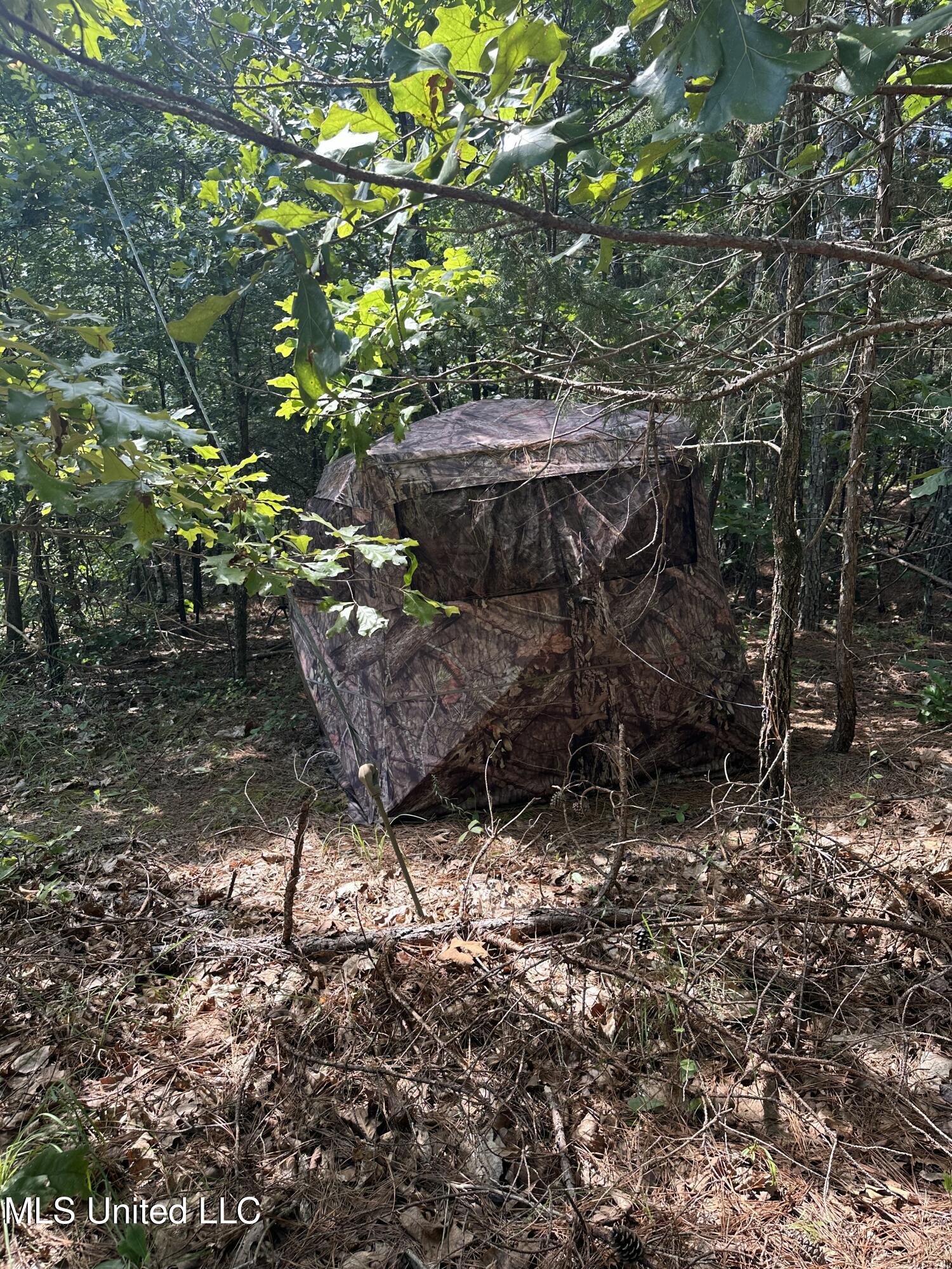 Powell Chapel Road Holly Springs, MS 38635 - Photo 66 of 74 7133F9F8-A376-4C6E-A901-FA3FD75A046E