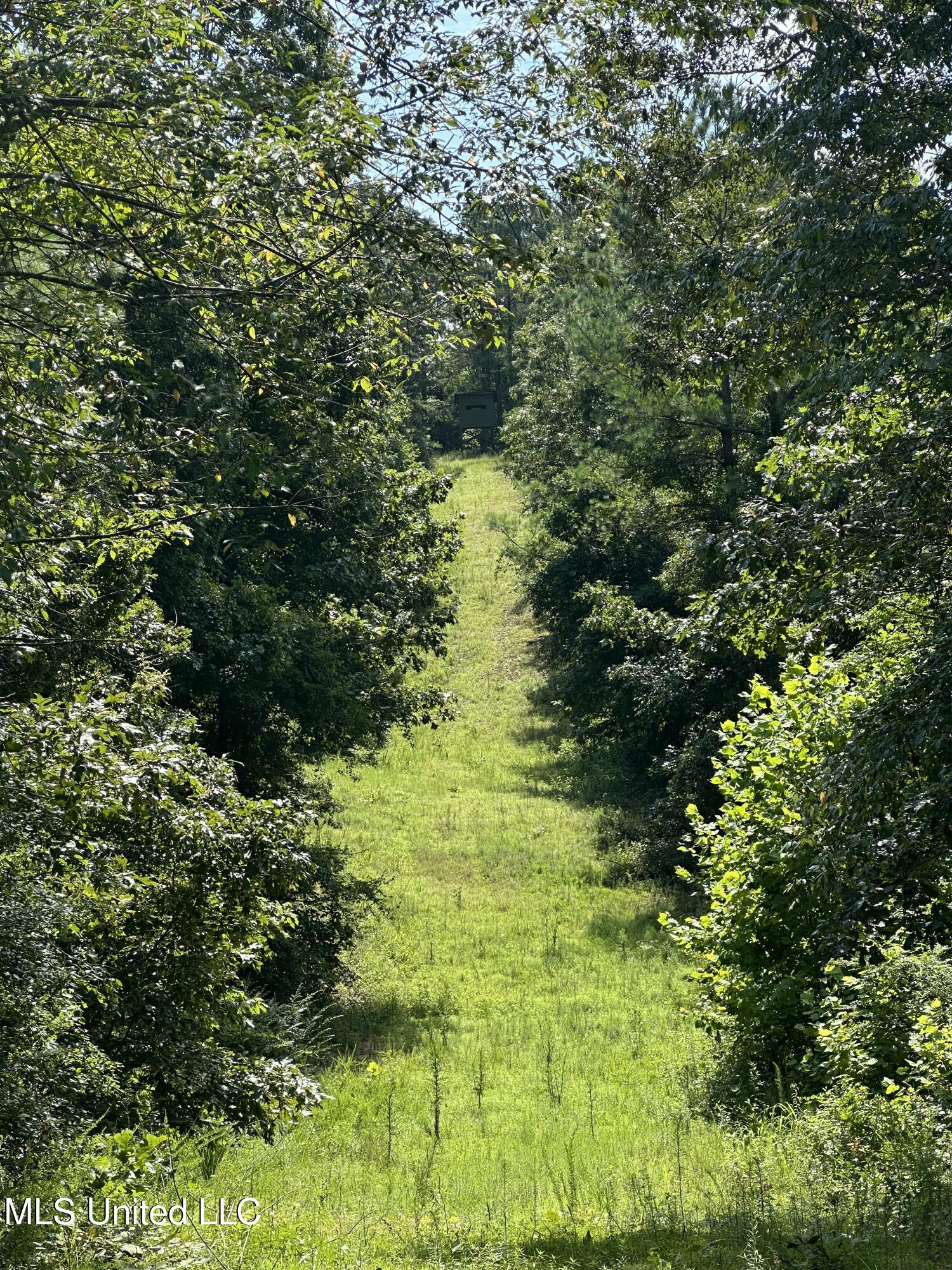 Powell Chapel Road Holly Springs, MS 38635 - Photo 68 of 74 75C2F656-2260-42BB-87E2-4B697AF820BB