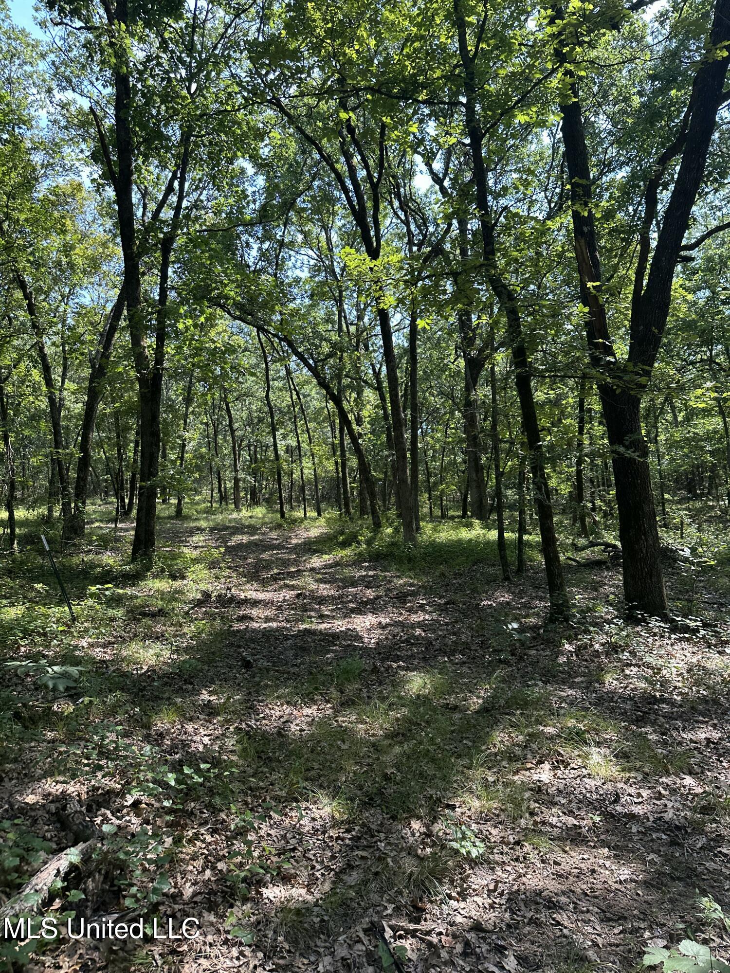 Powell Chapel Road Holly Springs, MS 38635 - Photo 69 of 74 36515C0E-8262-4403-AF6D-295A3238D674