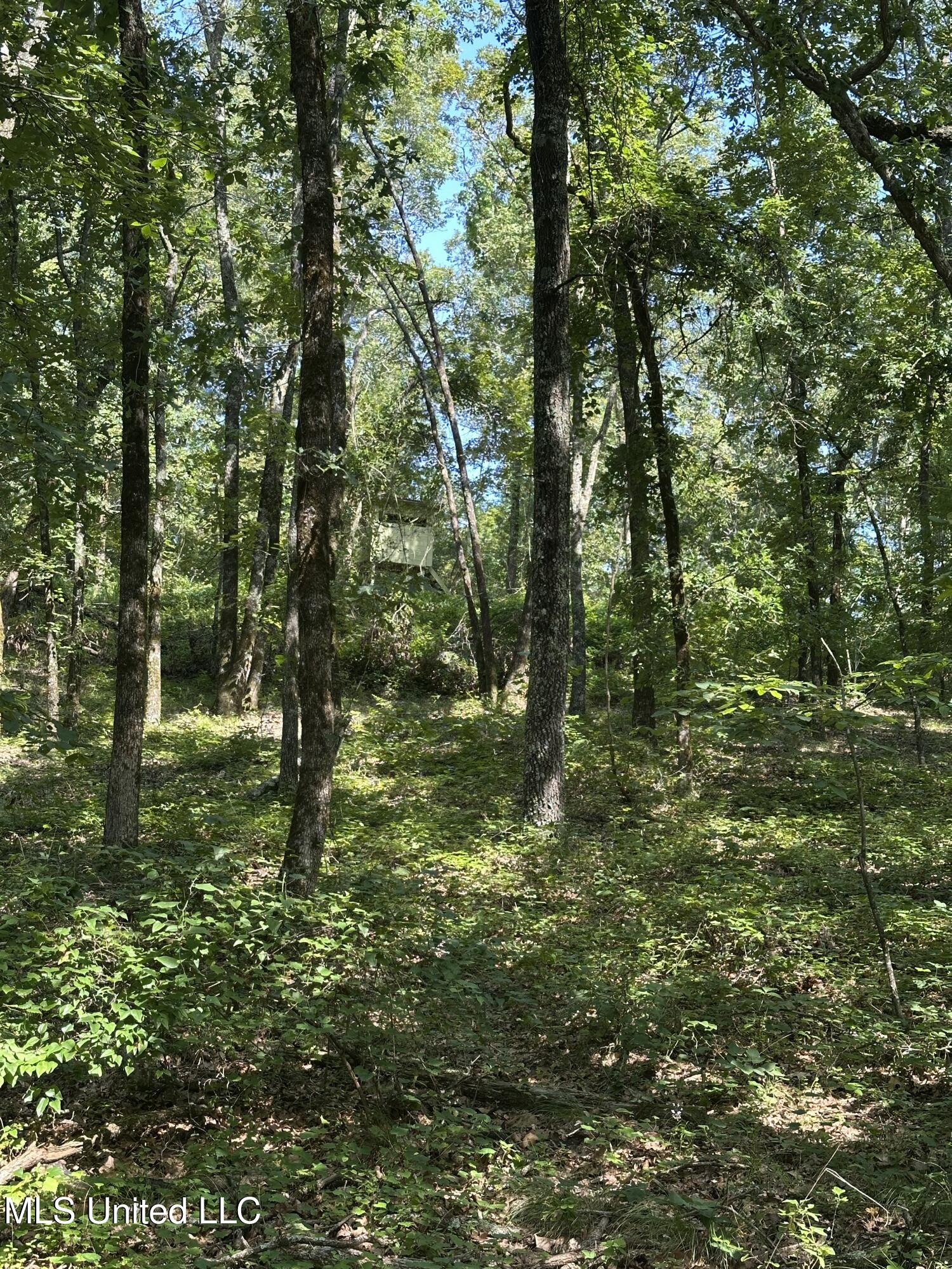 Powell Chapel Road Holly Springs, MS 38635 - Photo 70 of 74 C0EBDED5-B6F7-4F8C-9CA1-6AEEB588BB34
