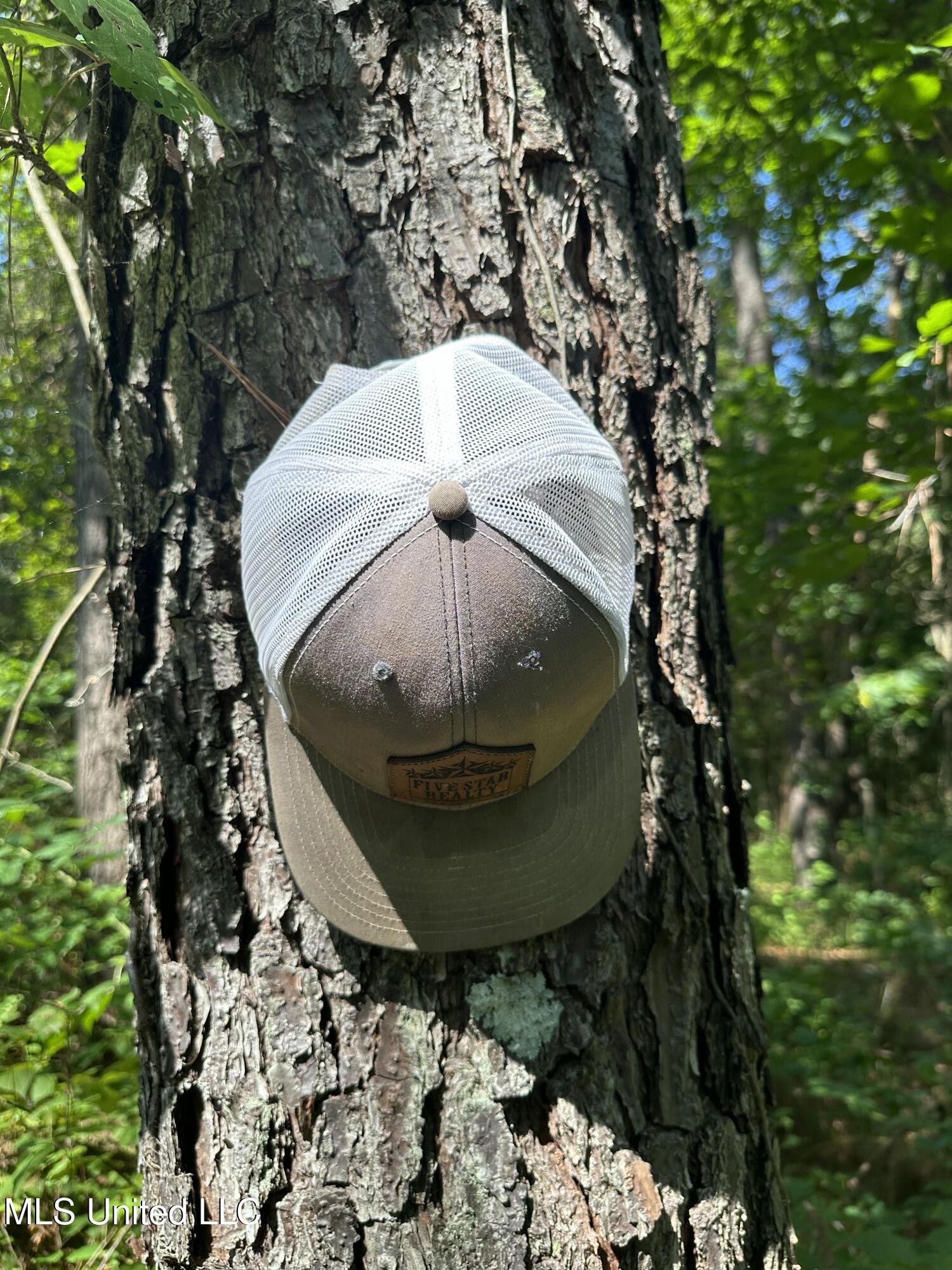 Powell Chapel Road Holly Springs, MS 38635 - Photo 71 of 74 2F4D309B-F6F0-4C9C-96BF-90E30D053AA3