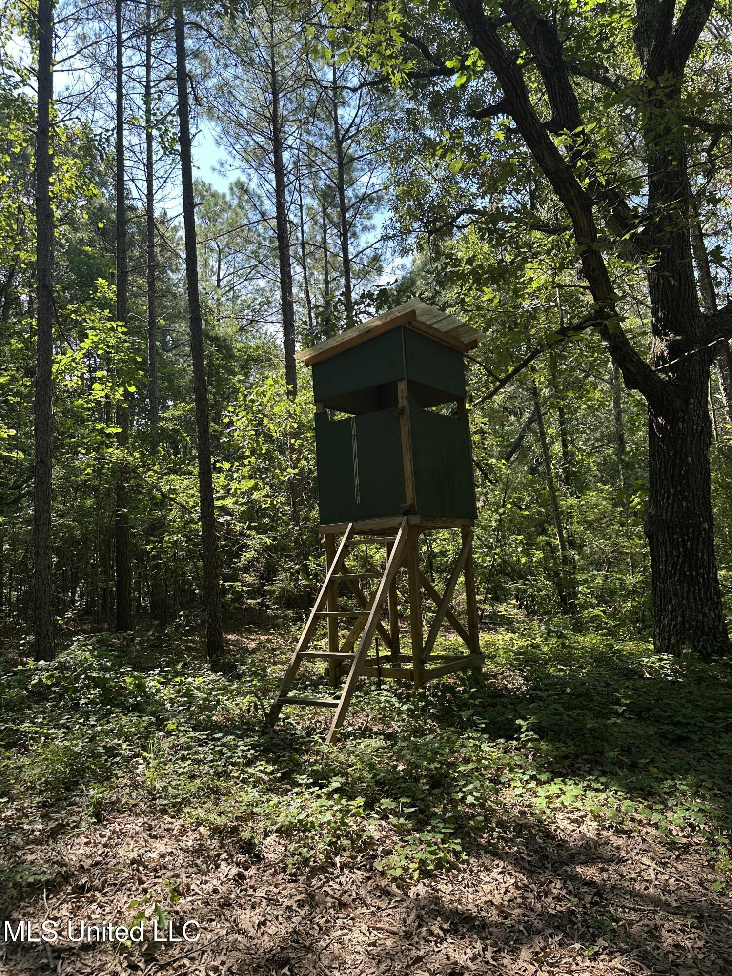 Powell Chapel Road Holly Springs, MS 38635 - Photo 72 of 74 8BC32BAA-6C1D-4B42-B673-77EF19A23124