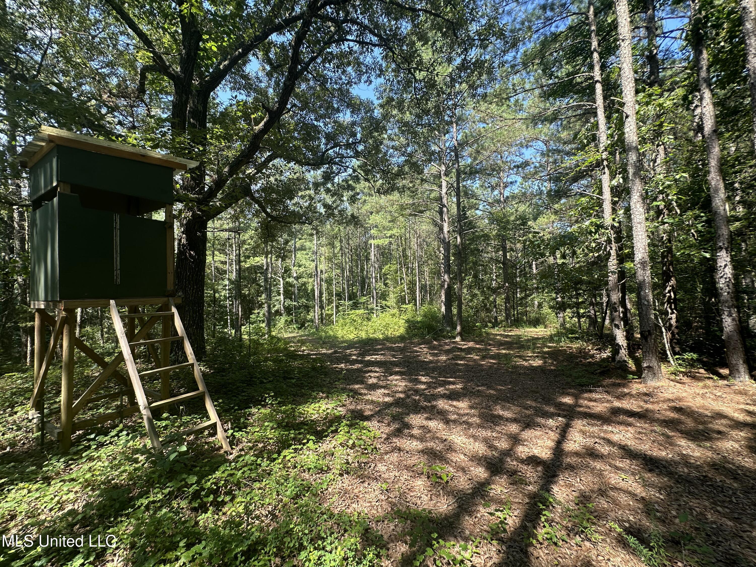 Powell Chapel Road Holly Springs, MS 38635 - Photo 73 of 74 13B4A26B-377D-4ED7-8AB6-1A10AEB869C7